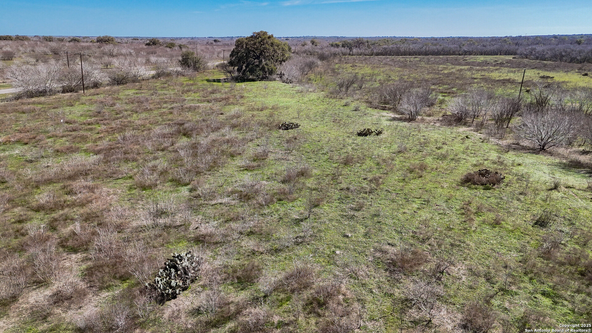 Bee County | 14+/- Acres