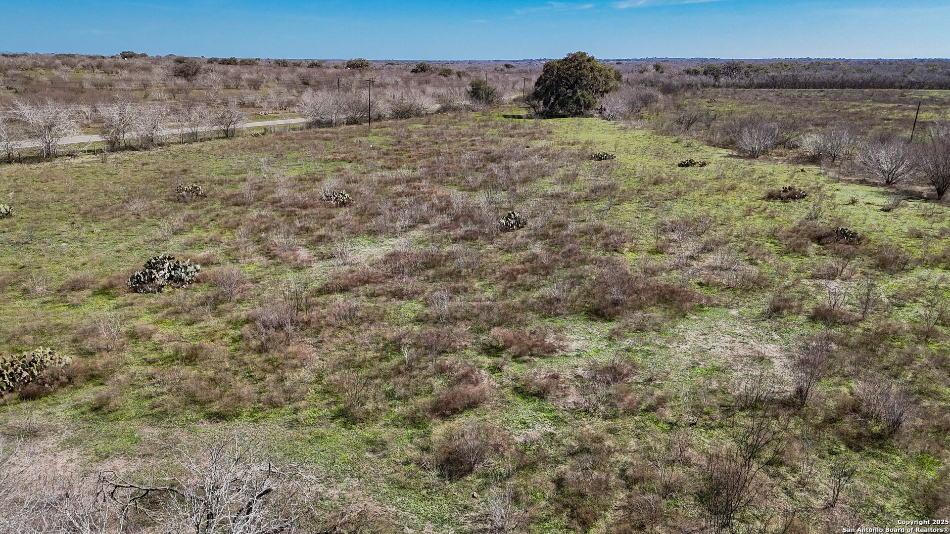 Bee County | 14+/- Acres