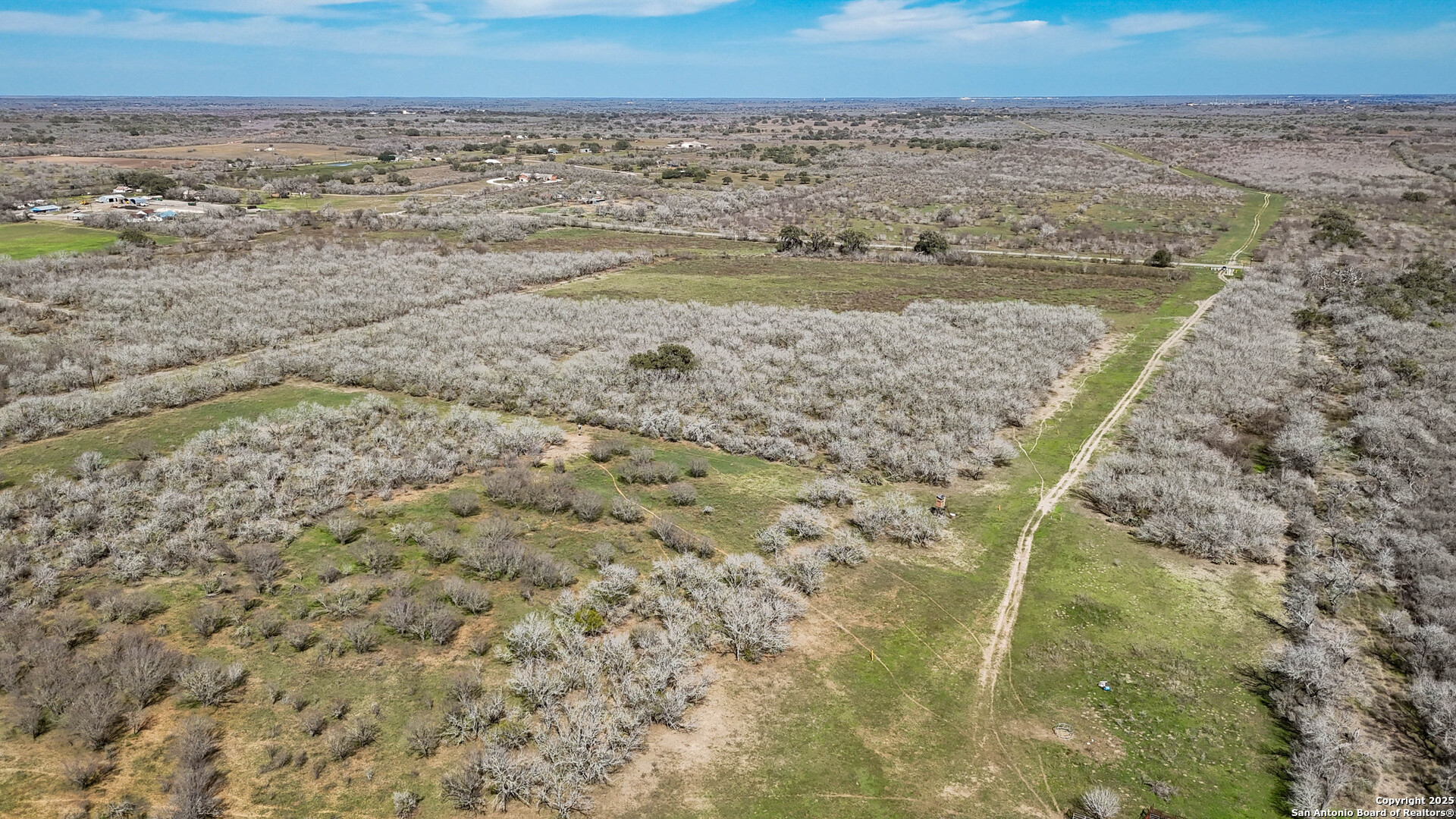 Bee County | 18+/- Acres