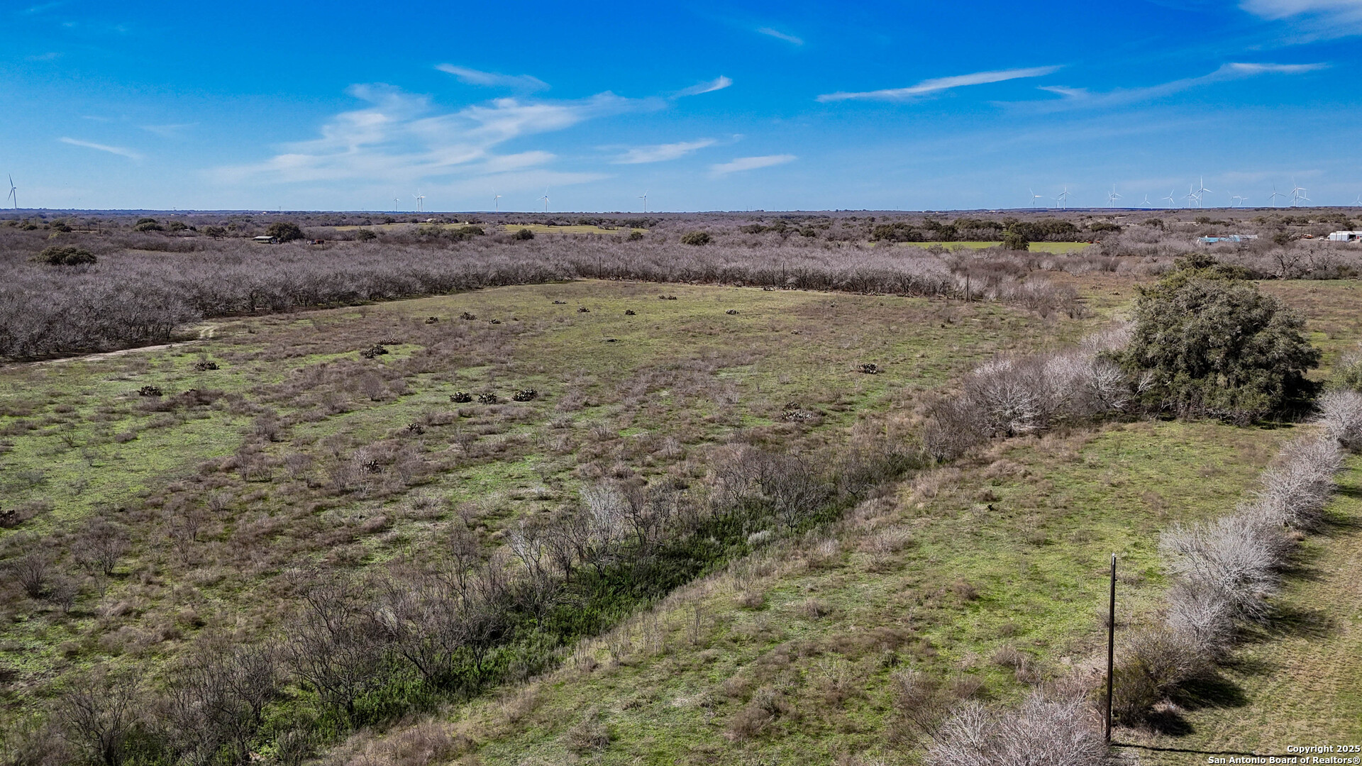 Bee County | 18+/- Acres