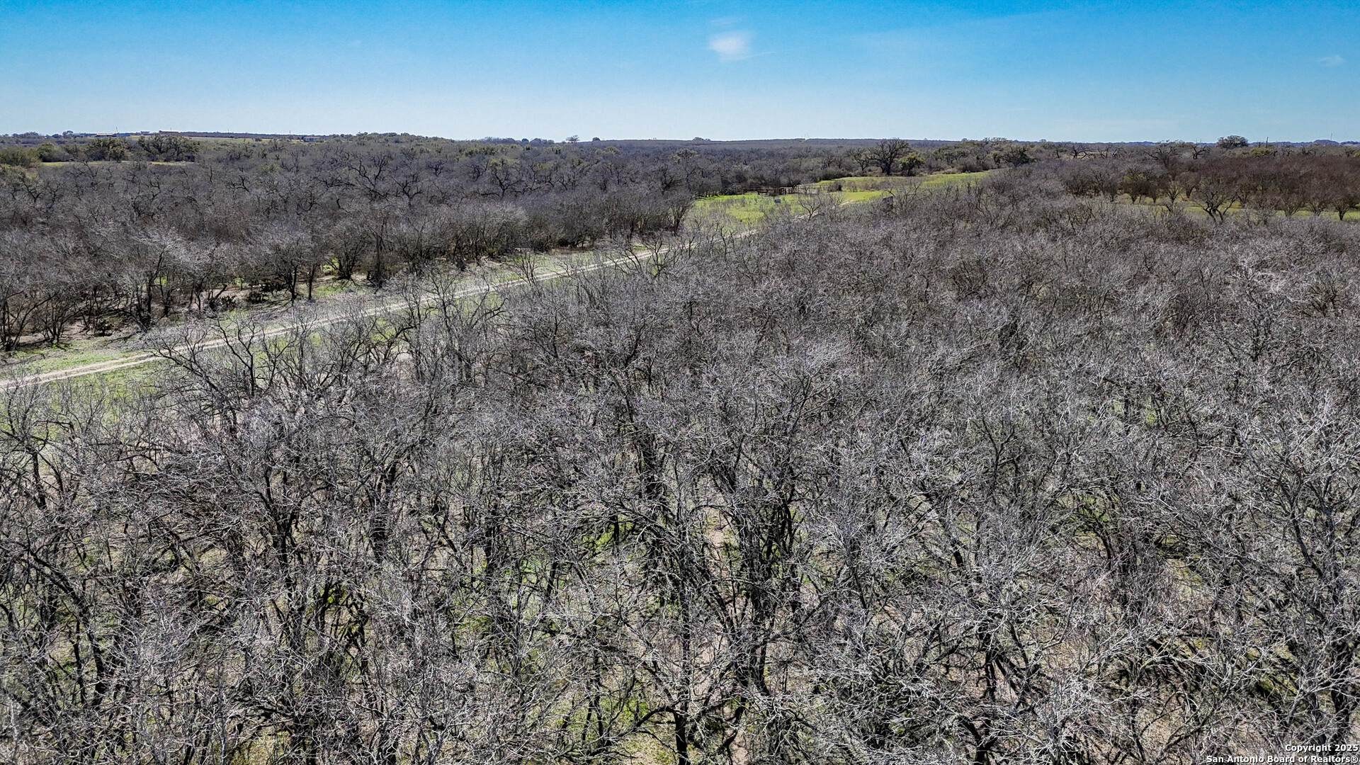 Bee County | 18+/- Acres