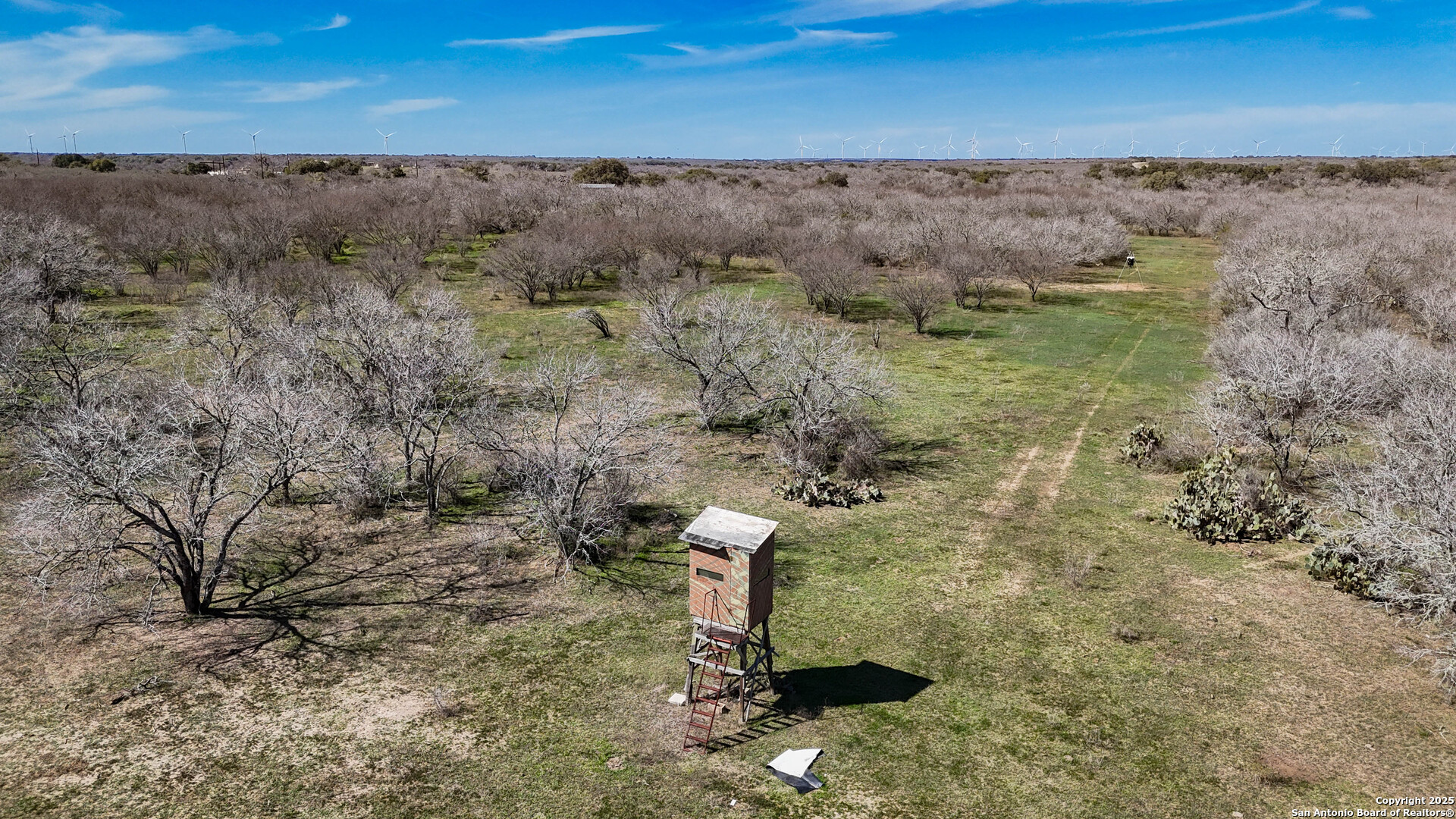 Bee County | 29.42+/- Acres
