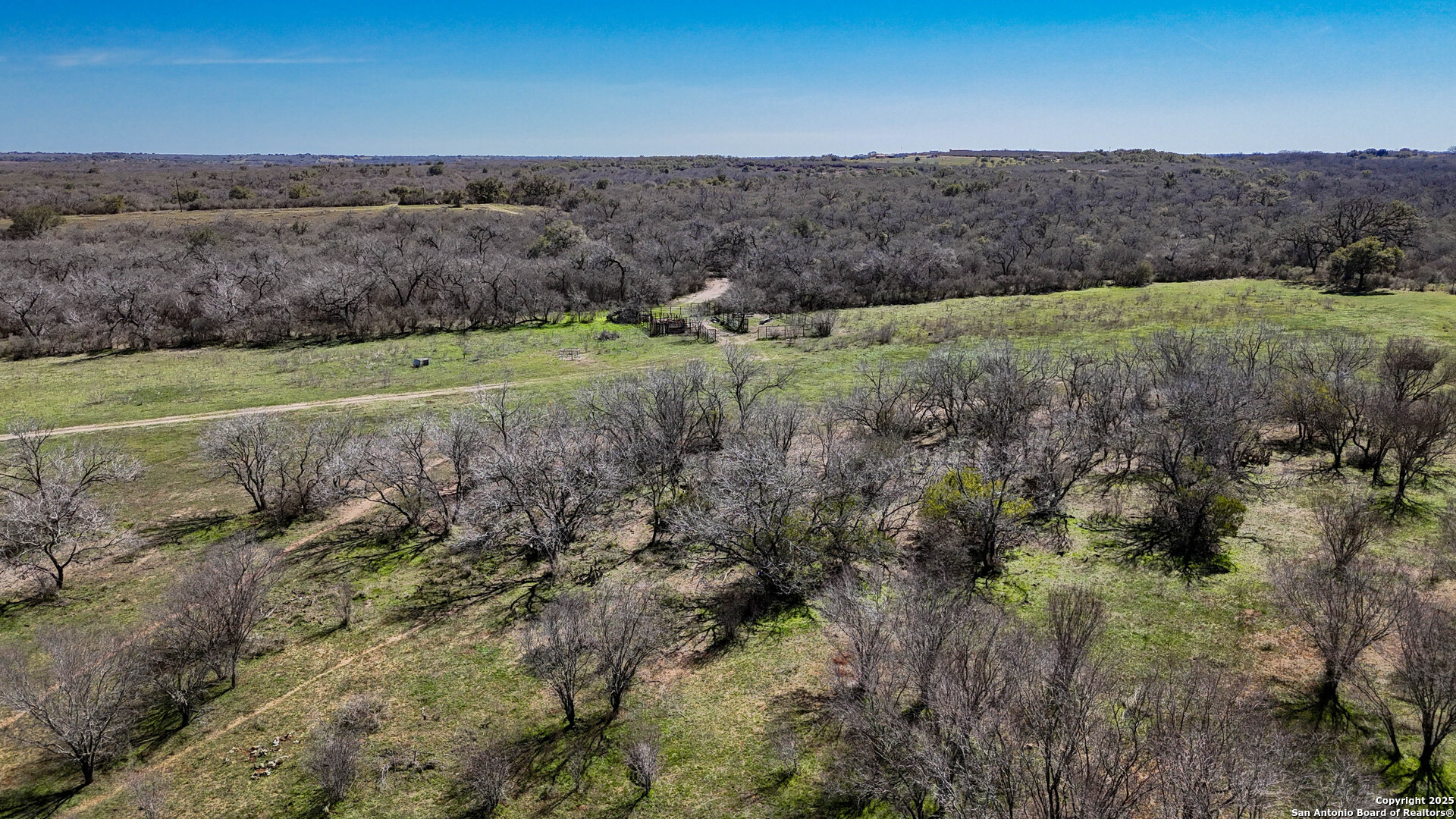 Bee County | 29.42+/- Acres