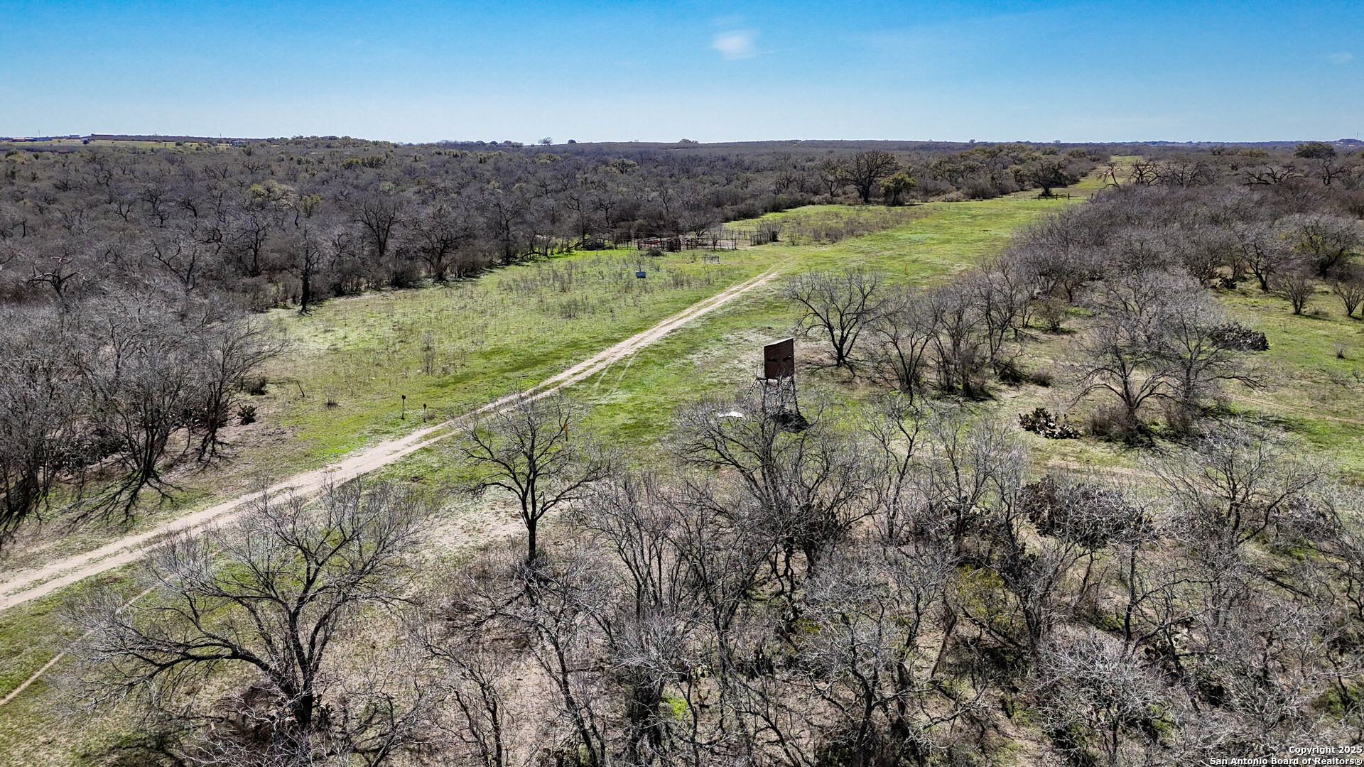 Bee County | 29.42+/- Acres