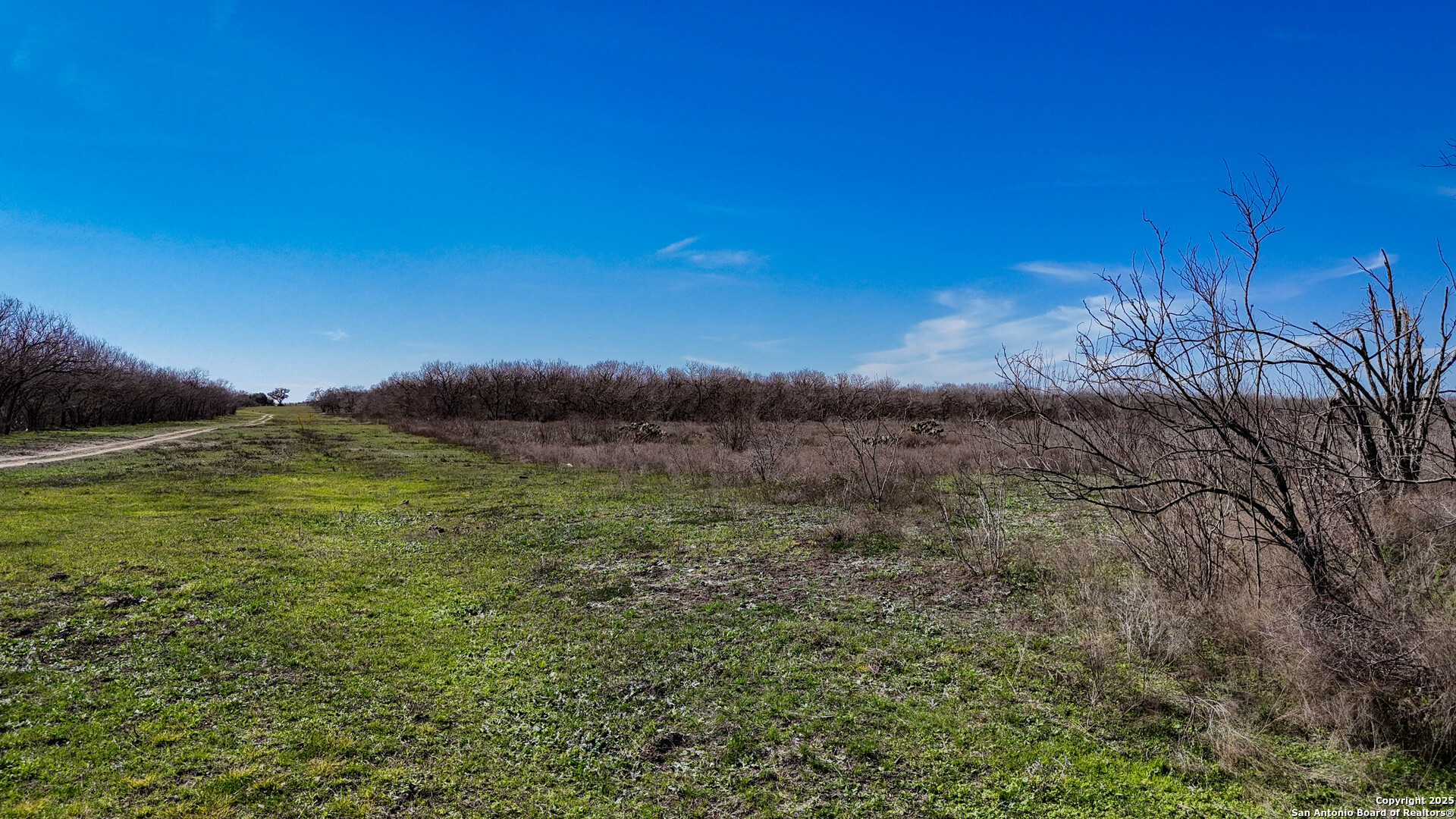 Bee County | 29.42+/- Acres