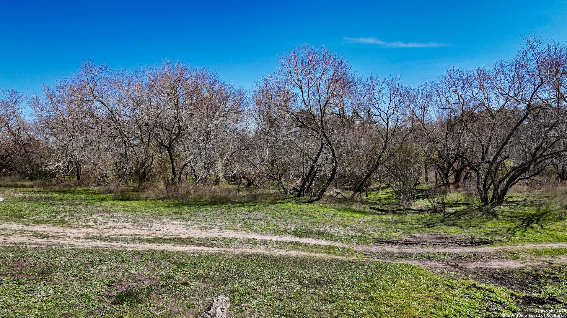 Bee County | 29.42+/- Acres