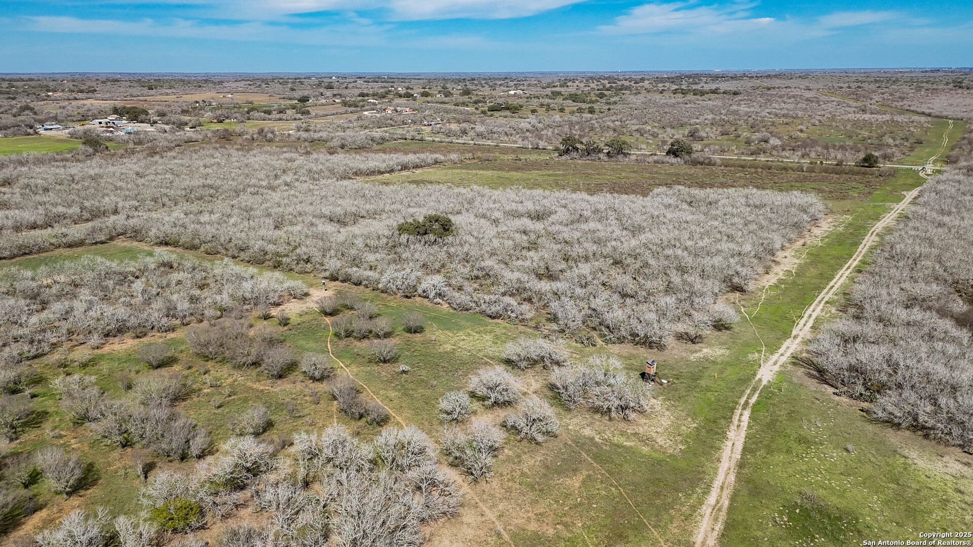 Bee County | 29.42+/- Acres