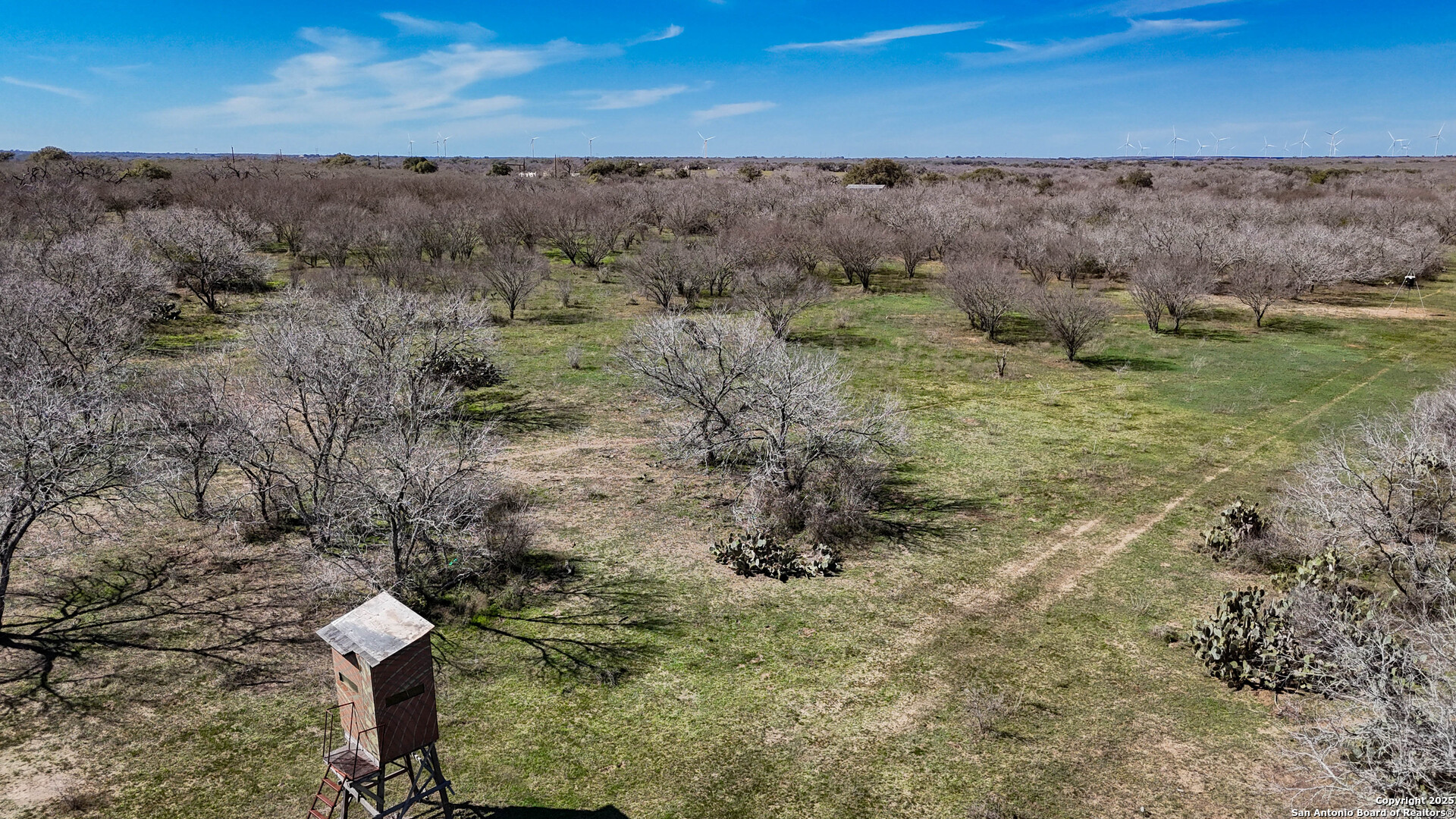 Bee County | 29.42+/- Acres
