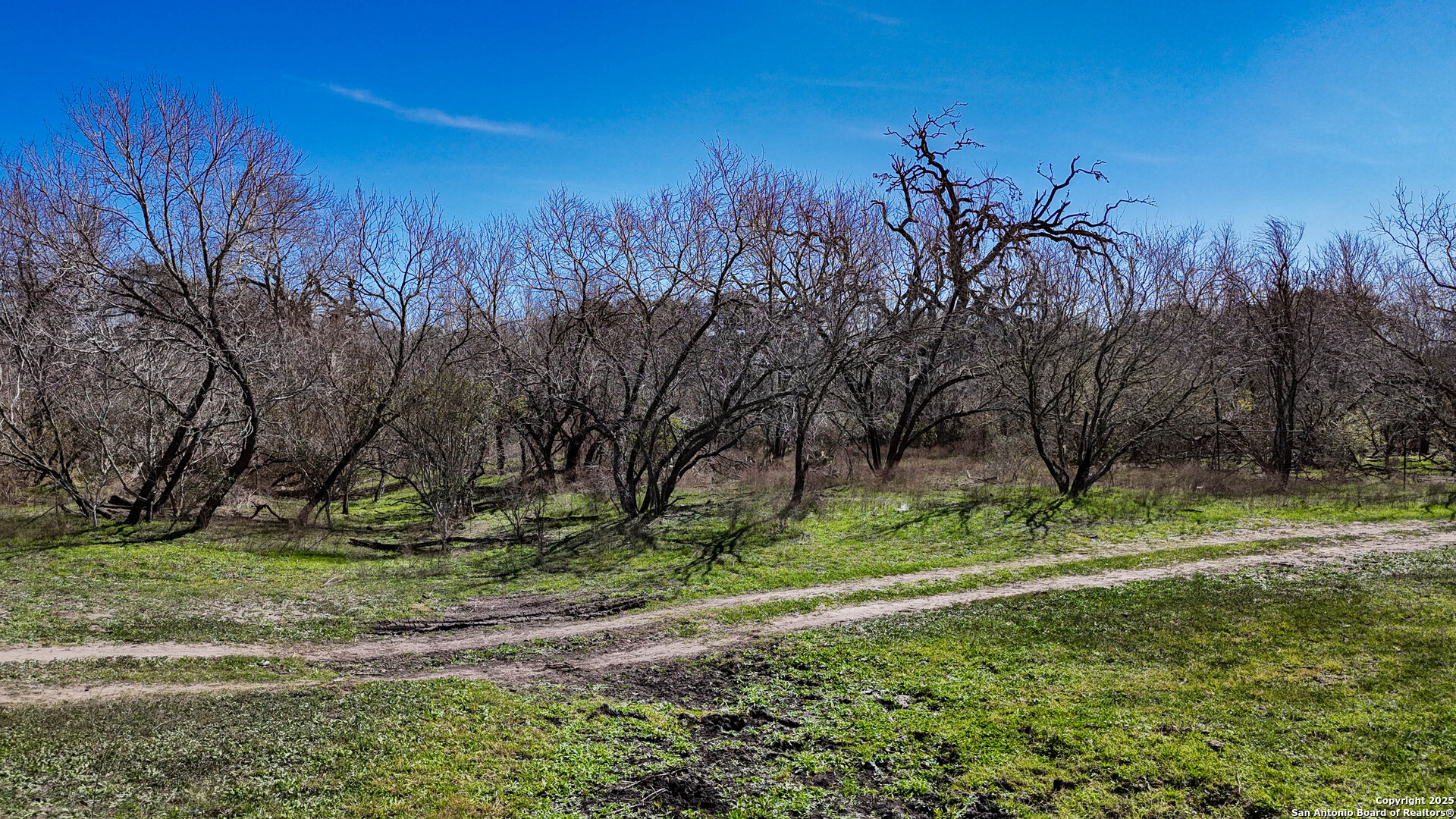 Bee County | 29.42+/- Acres