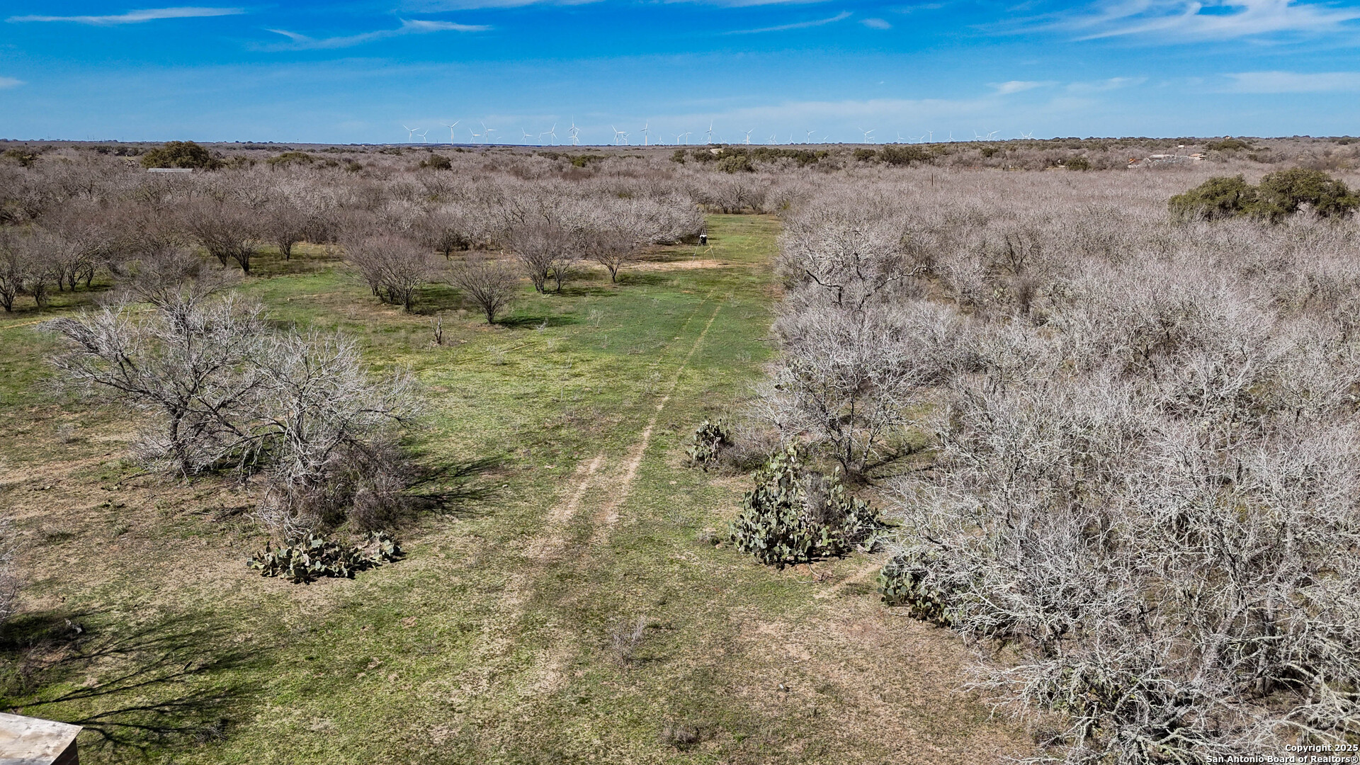 Bee County | 29.42+/- Acres