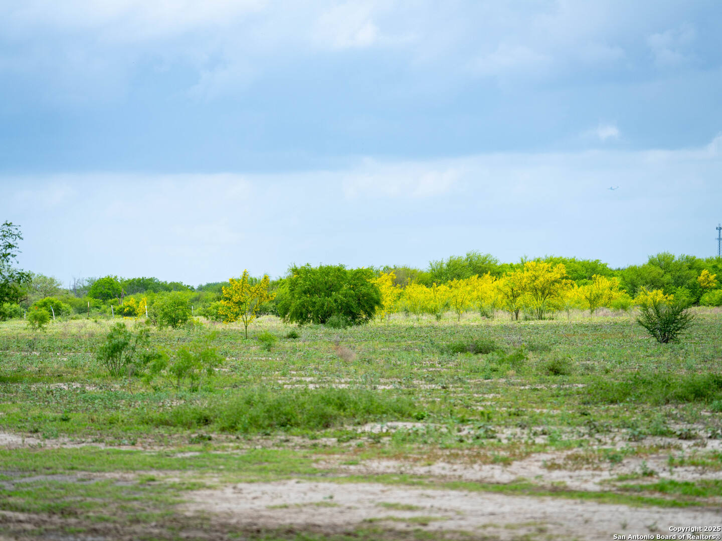 Bexar County | 54+/- Acres