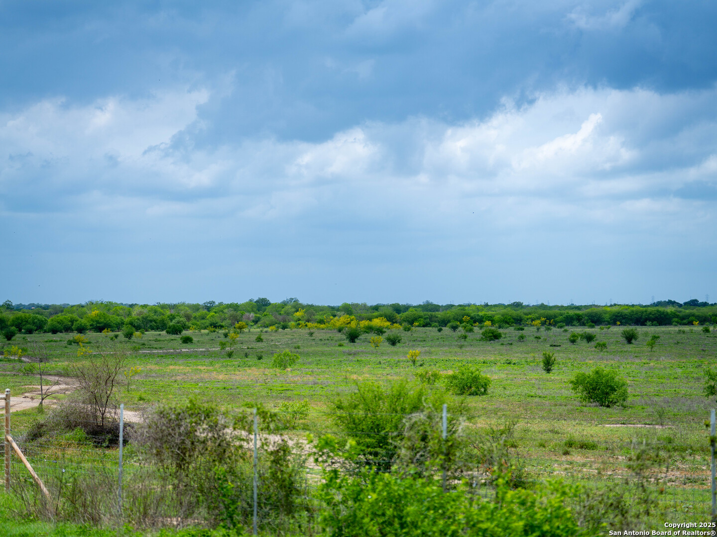 Bexar County | 54+/- Acres