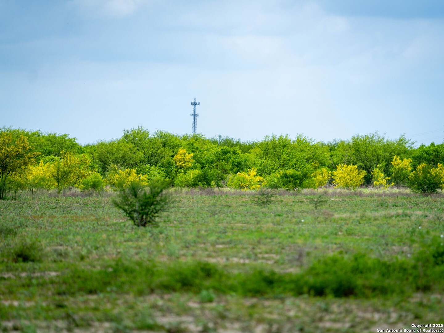 Bexar County | 54+/- Acres