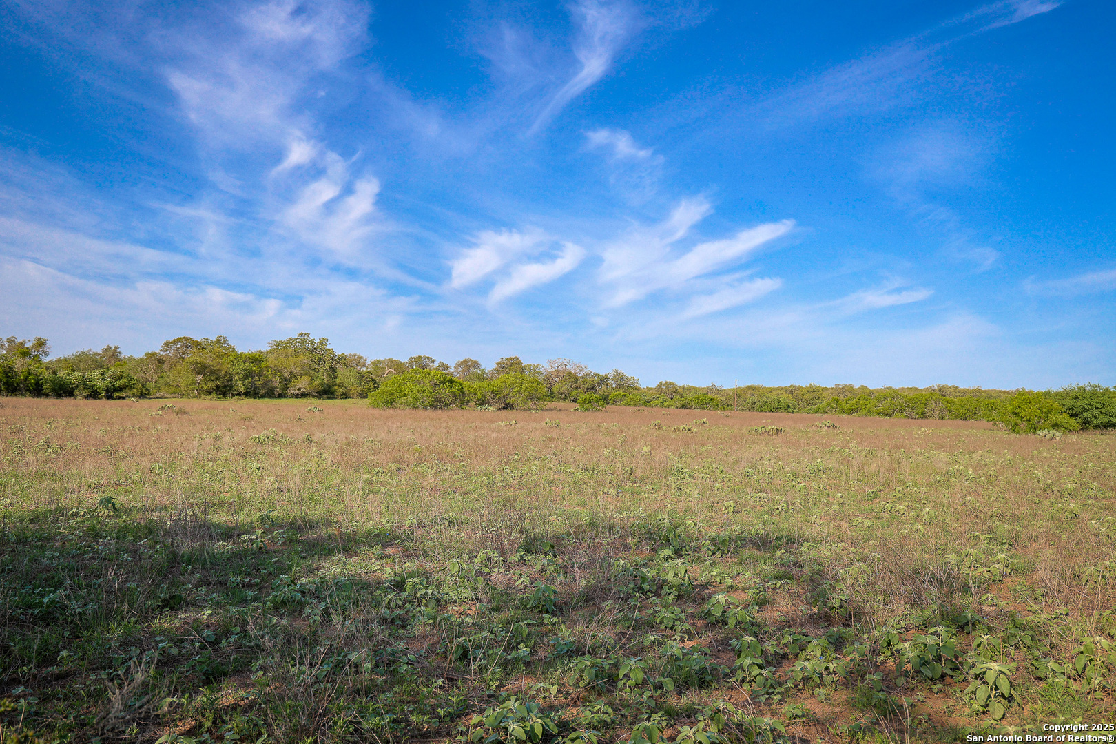 Atascosa County | 552+/- Acres