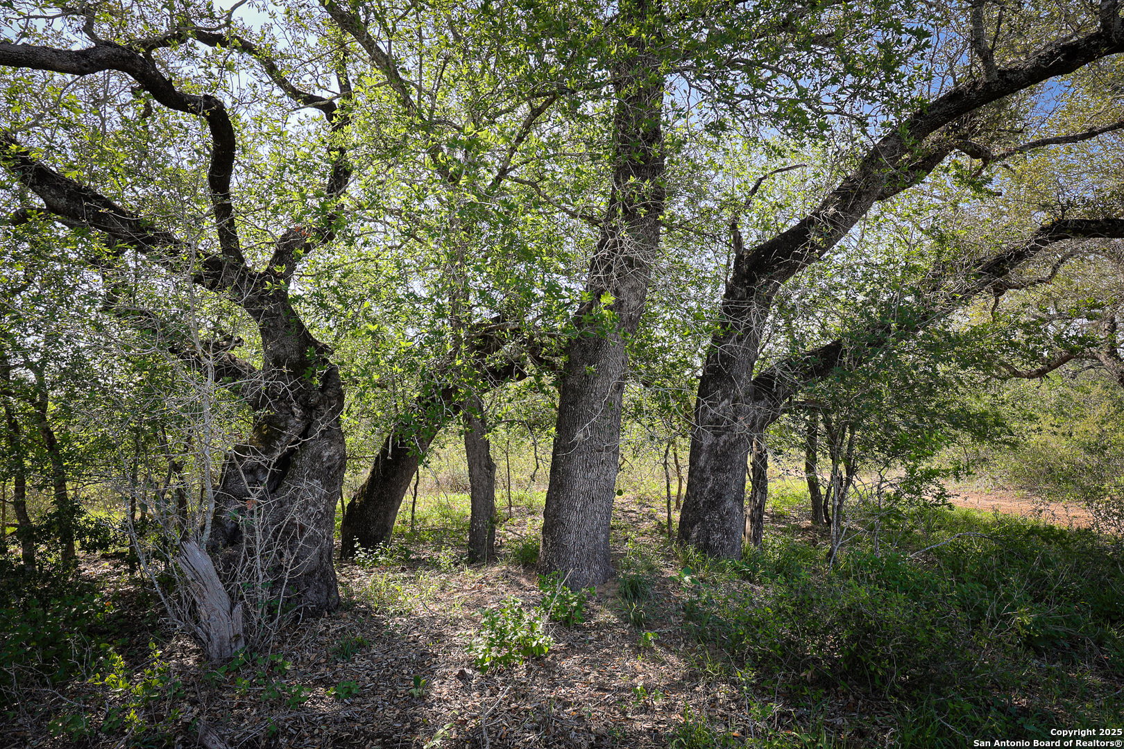 Atascosa County | 552+/- Acres
