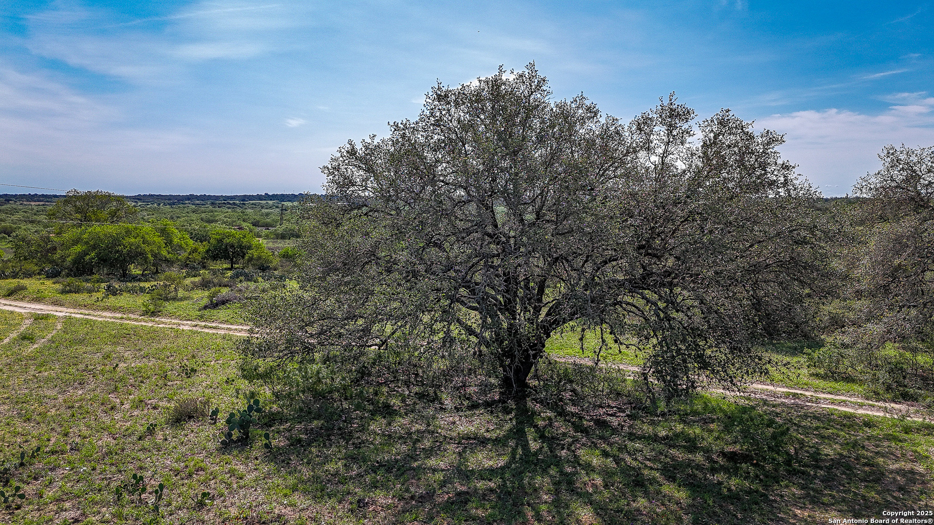 Atascosa County | 552+/- Acres
