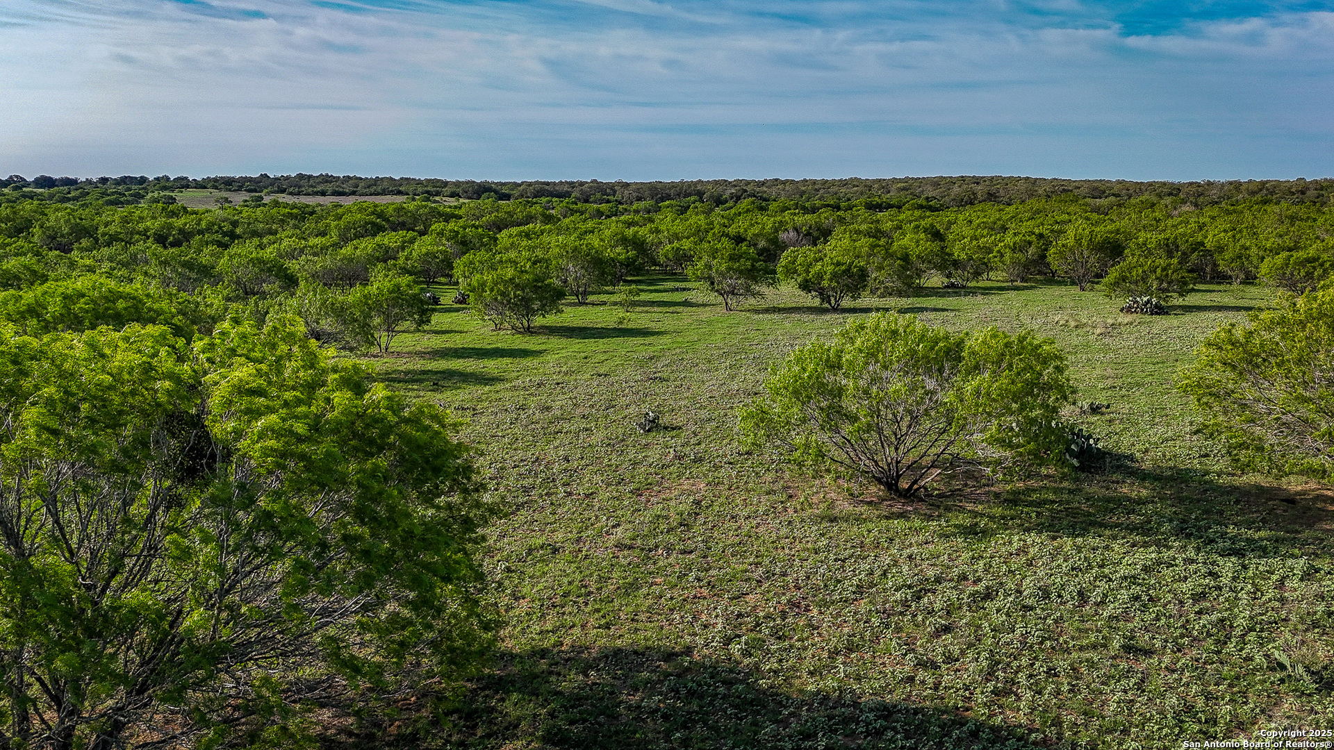Atascosa County | 552+/- Acres