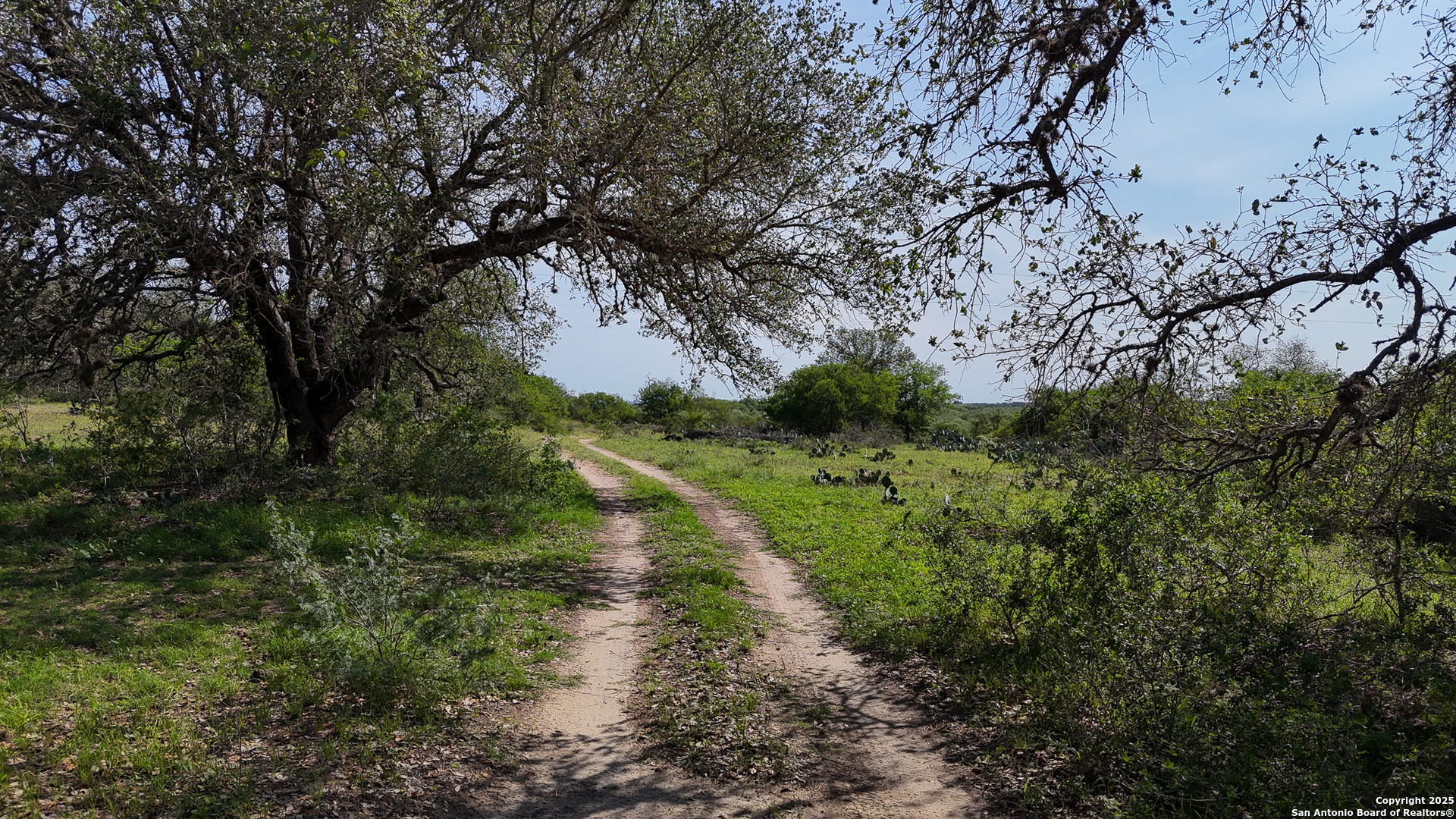 Atascosa County | 552+/- Acres