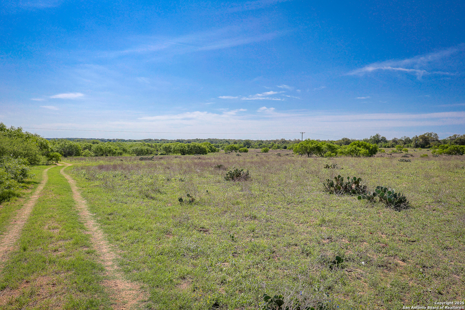 Atascosa County | 552+/- Acres