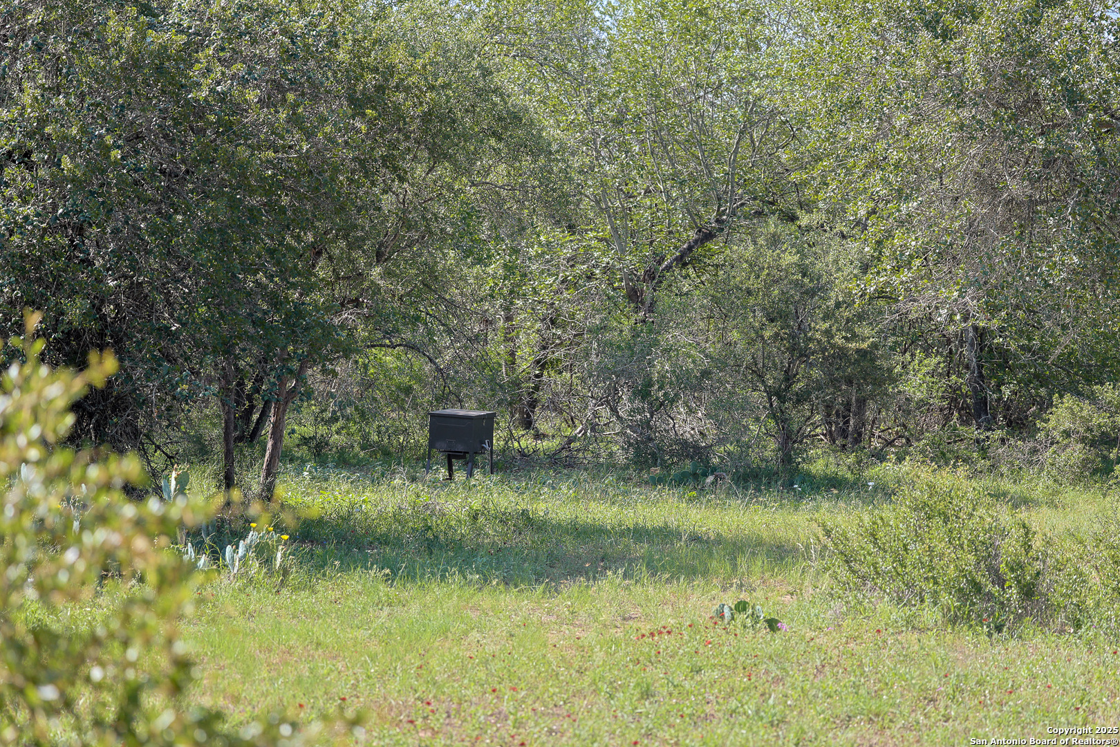 Atascosa County | 552+/- Acres