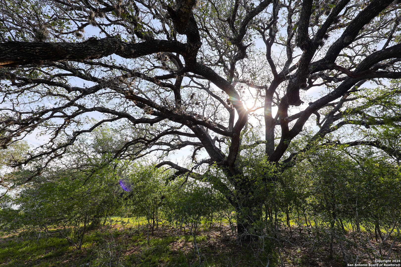Atascosa County | 552+/- Acres