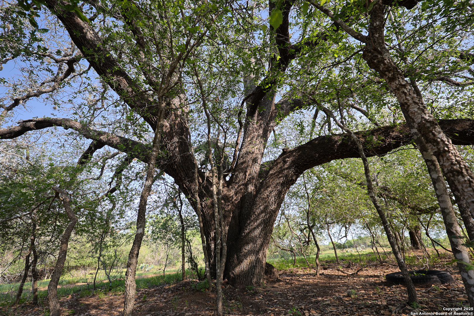 Atascosa County | 552+/- Acres