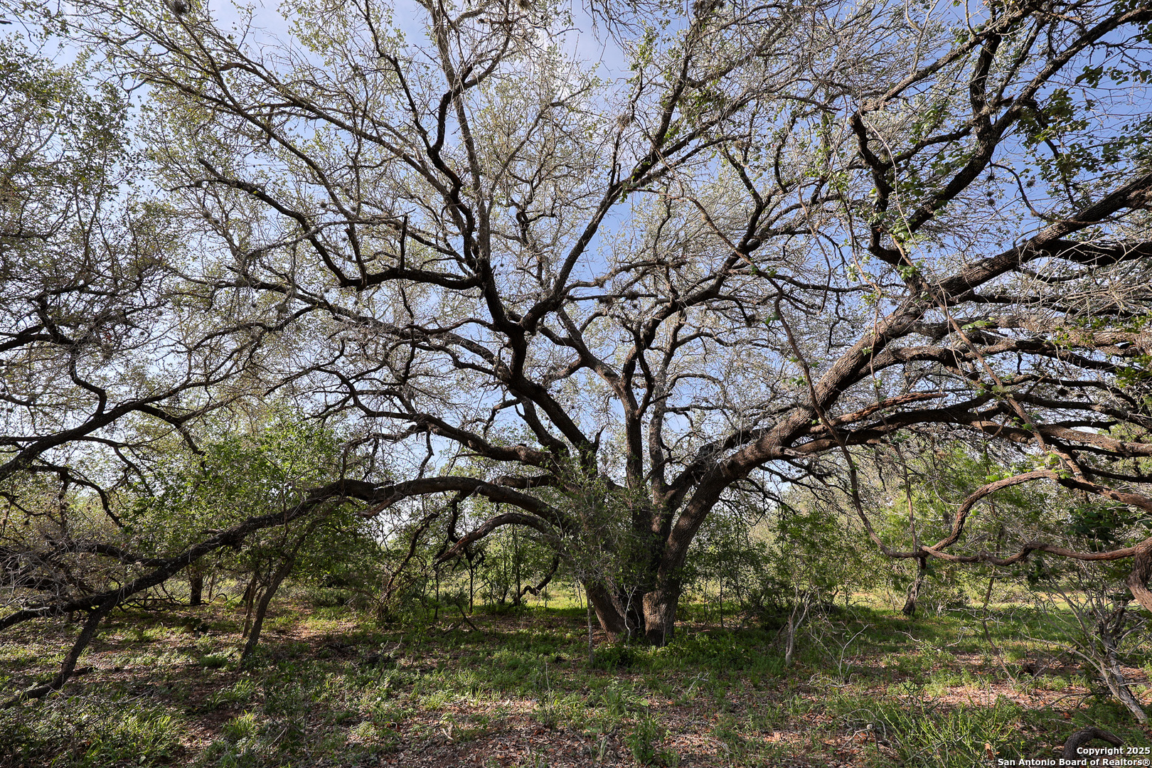 Atascosa County | 552+/- Acres