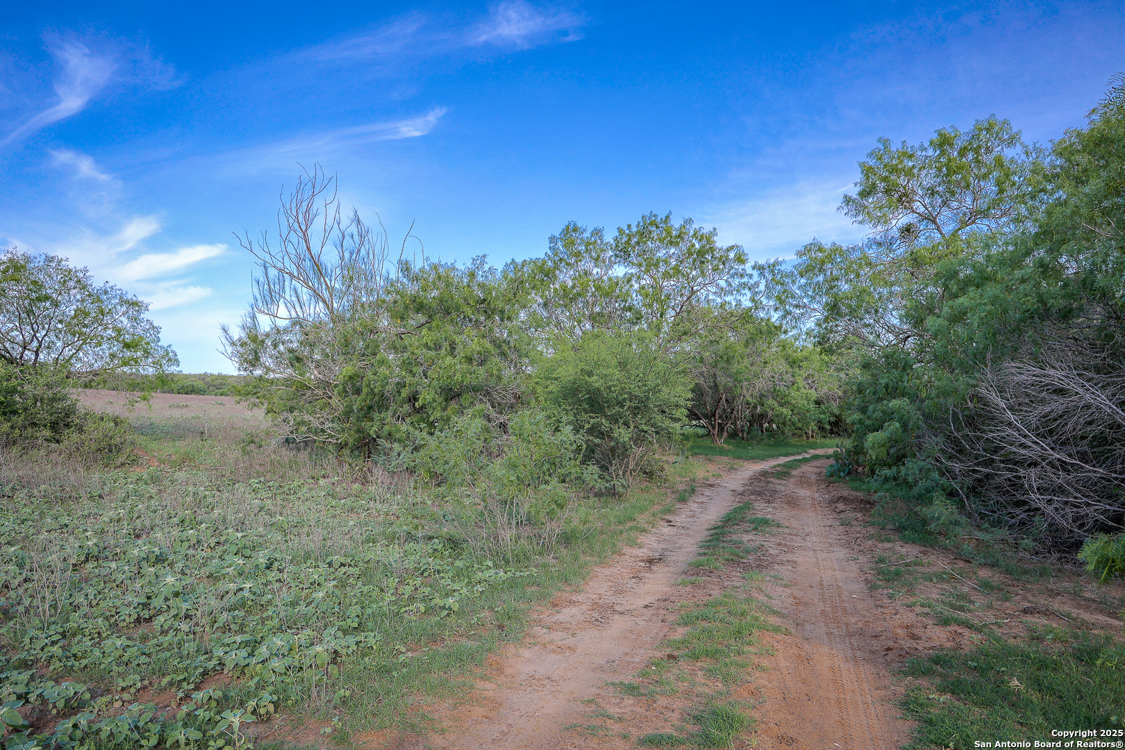 Atascosa County | 552+/- Acres