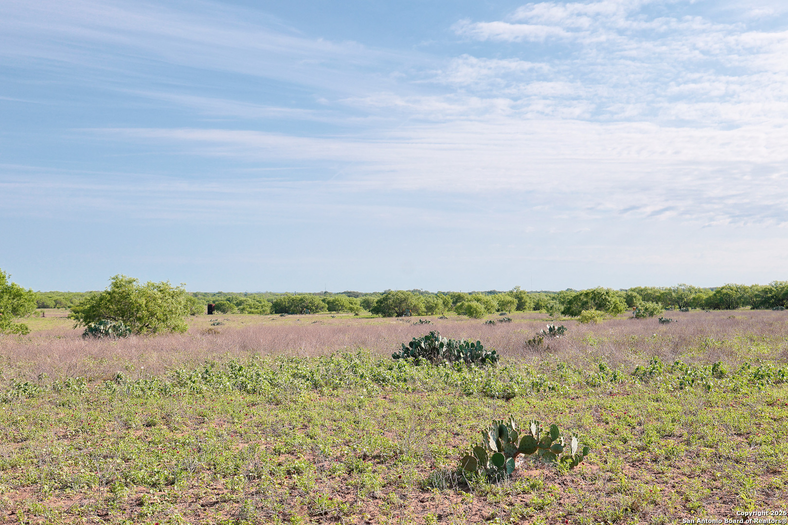 Atascosa County | 552+/- Acres
