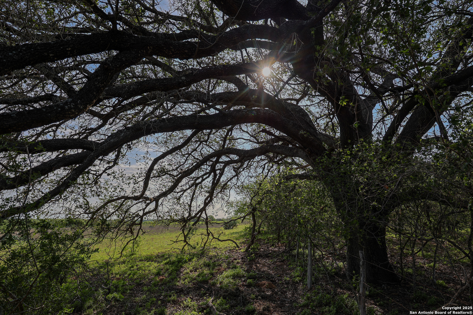 Atascosa County | 552+/- Acres