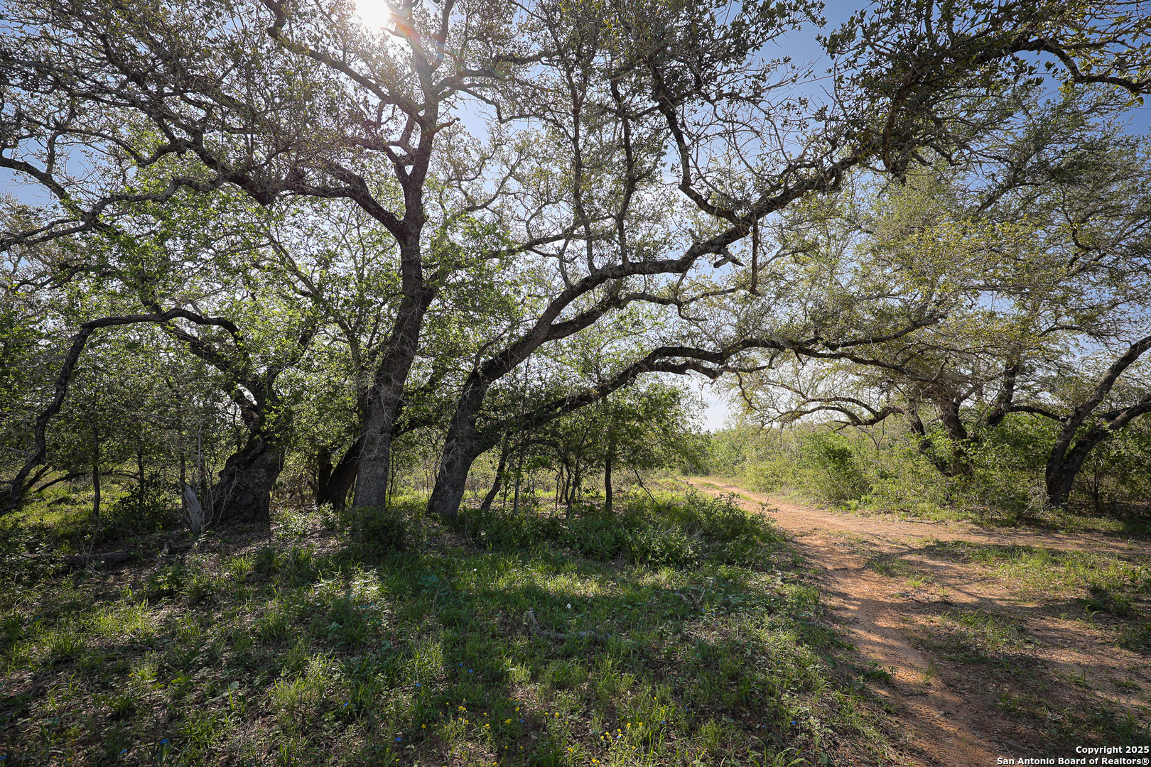 Atascosa County | 552+/- Acres