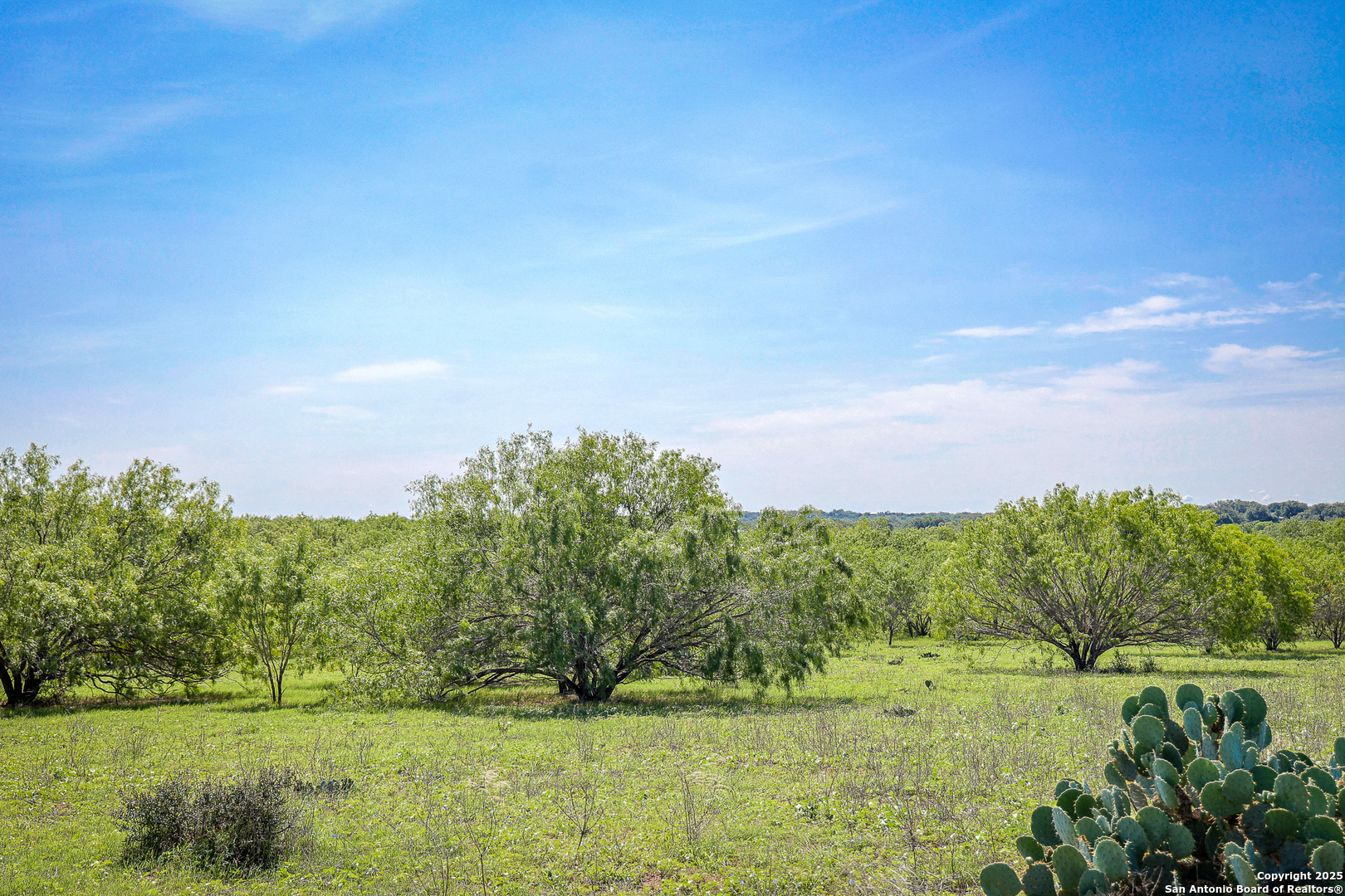 Atascosa County | 552+/- Acres