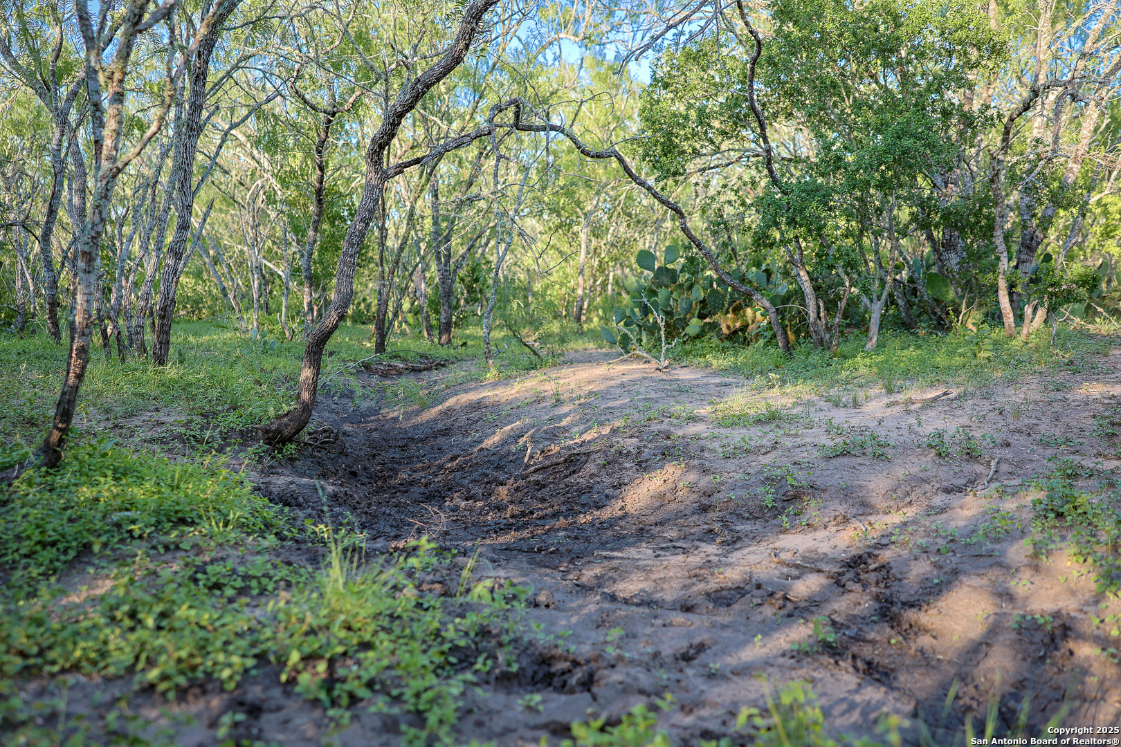 000 County Line Rd # 120