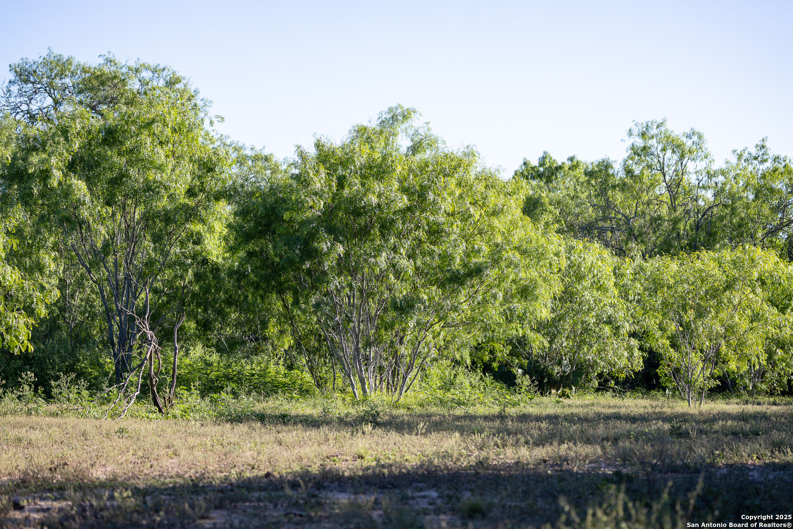 000 County Line Rd # 120
