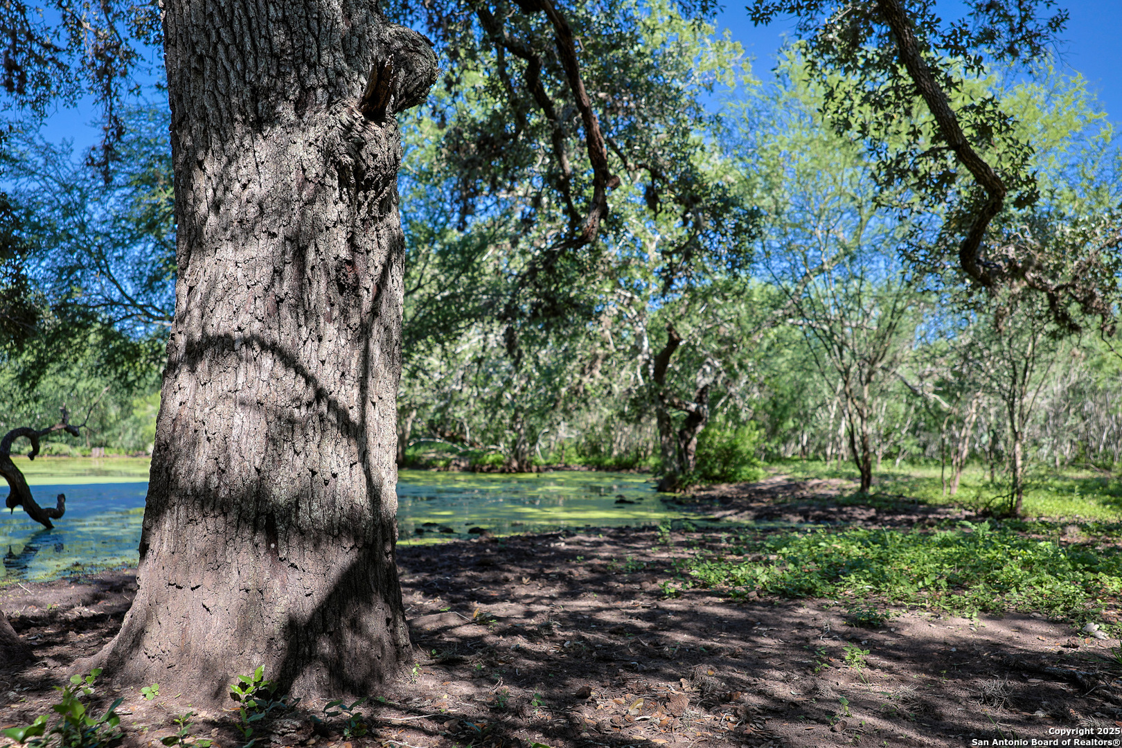 000 County Line Rd # 120