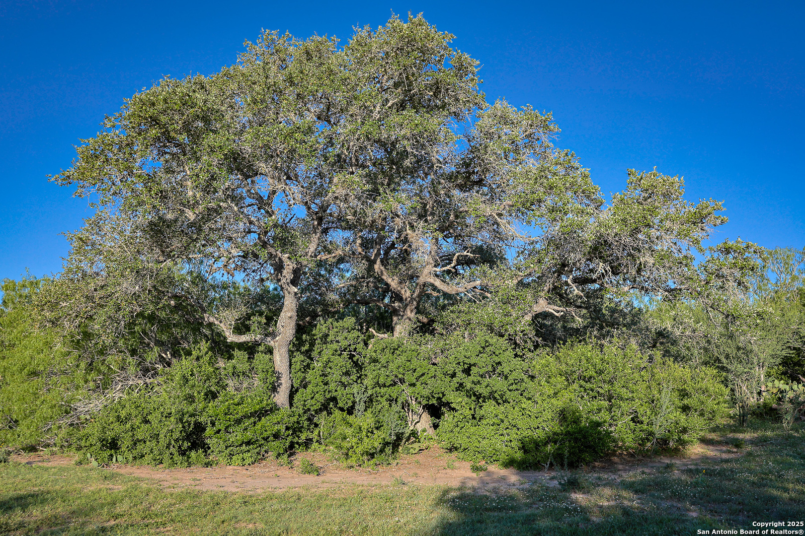 000 County Line Rd # 120