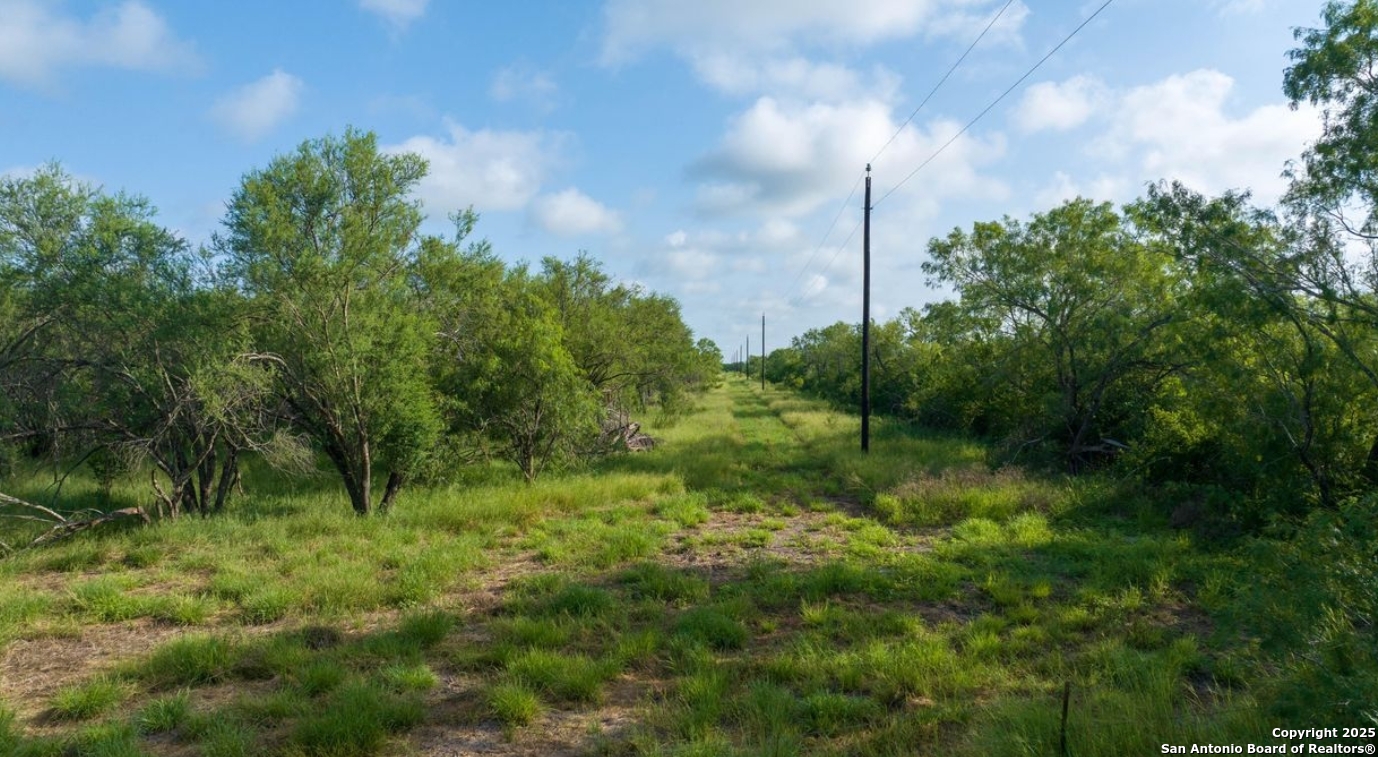 000 County Road 241