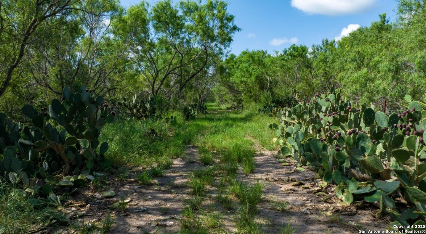 000 County Road 241