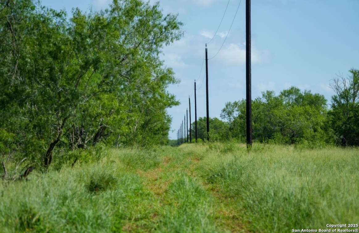 000 County Road 241