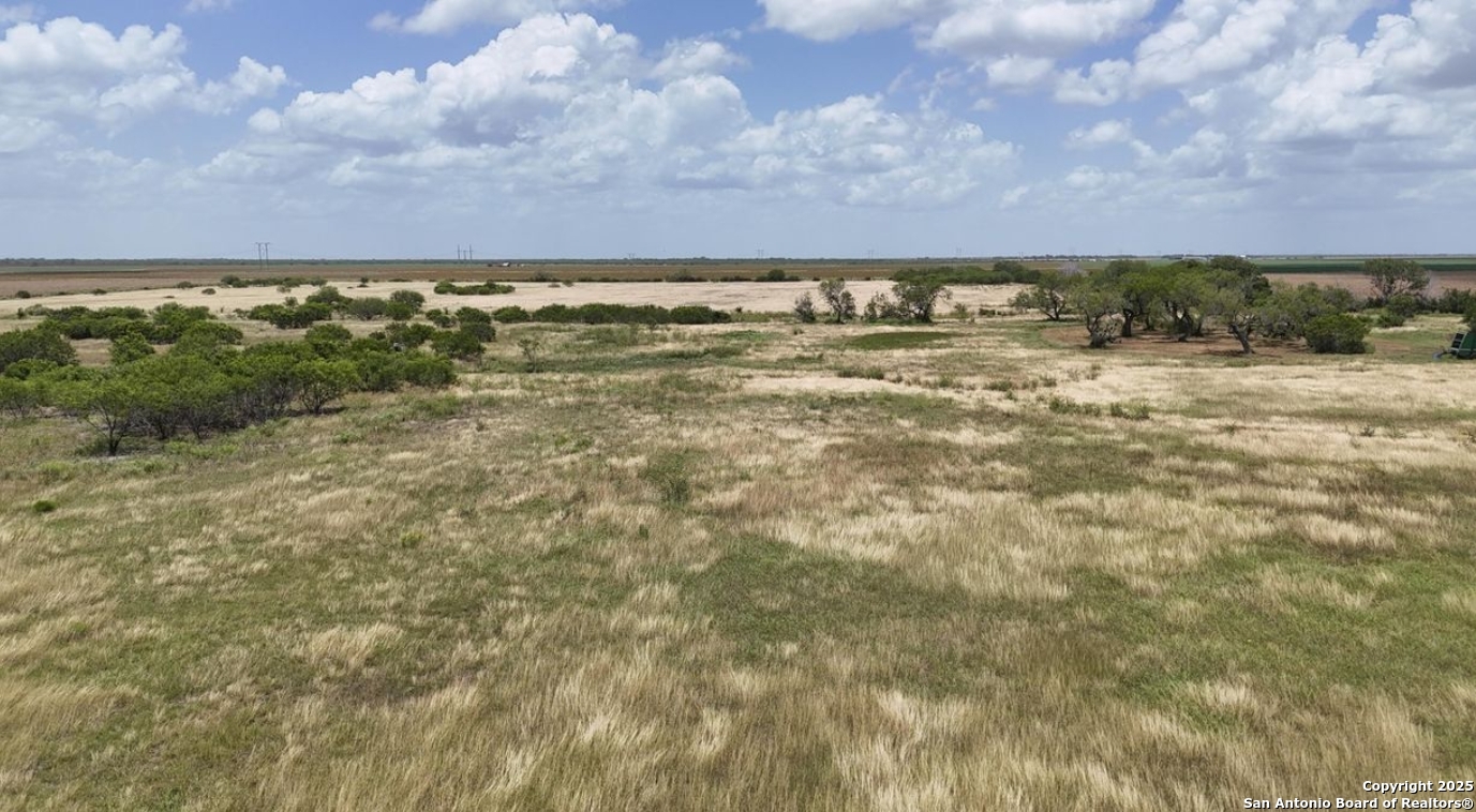 Bee County | 22+/- Acres
