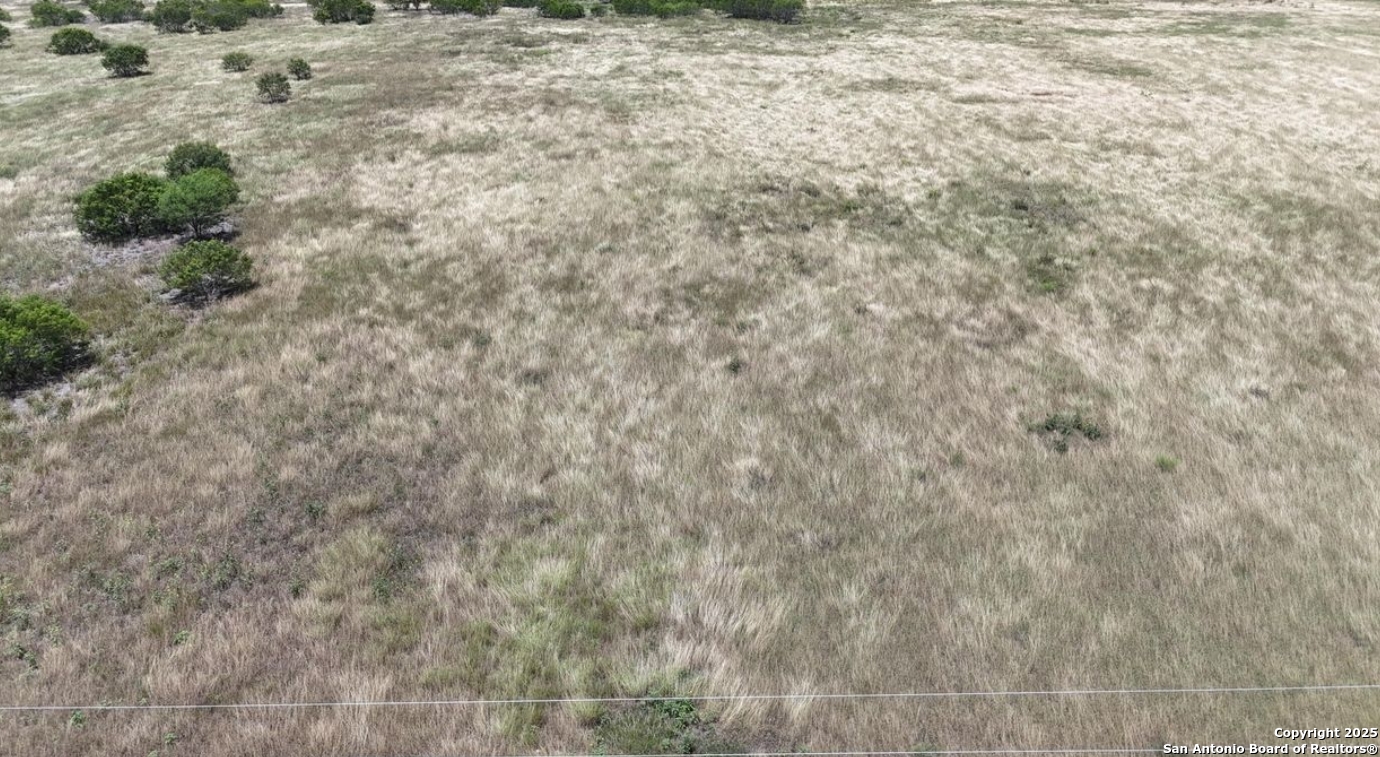 Bee County | 22+/- Acres
