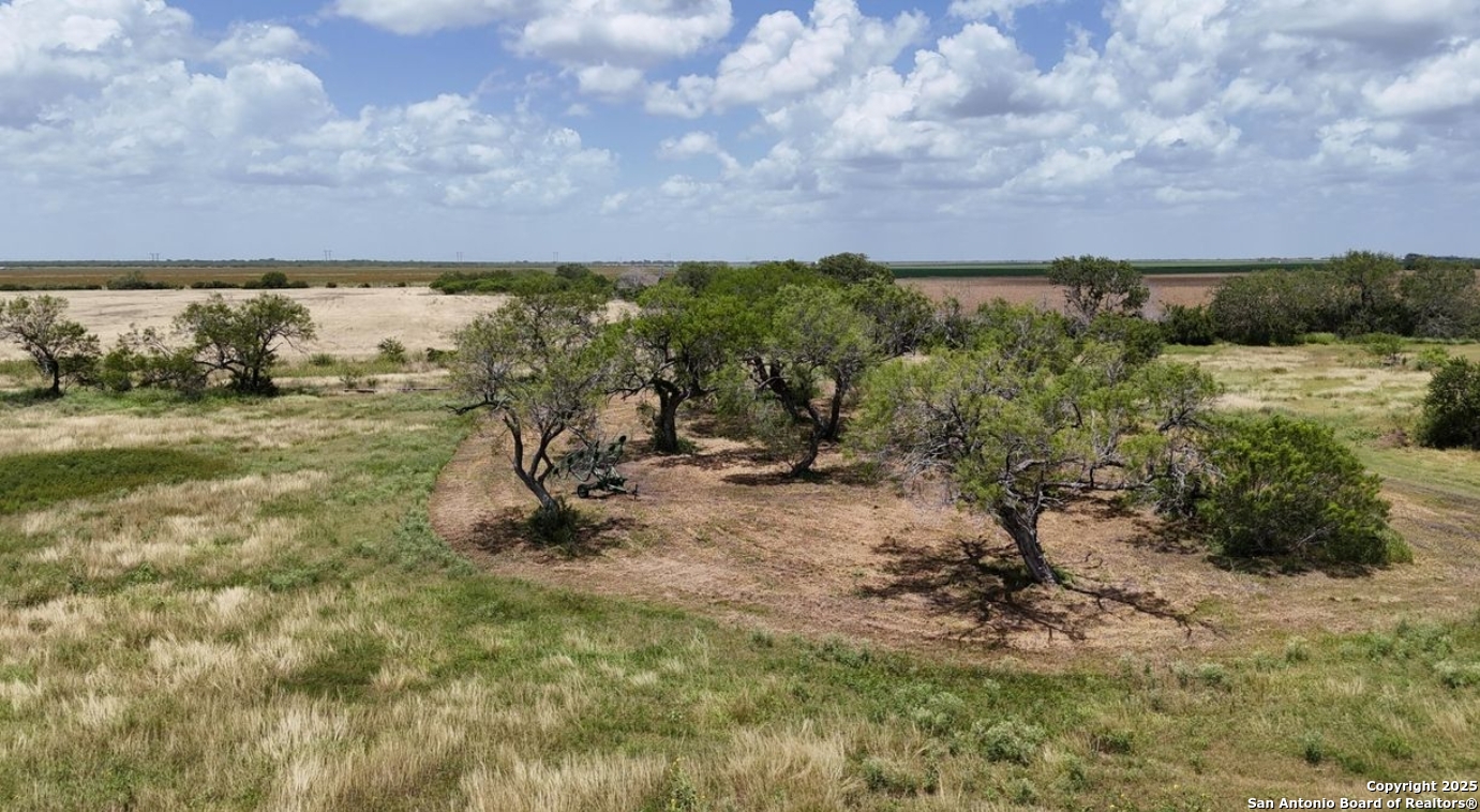 Bee County | 22+/- Acres
