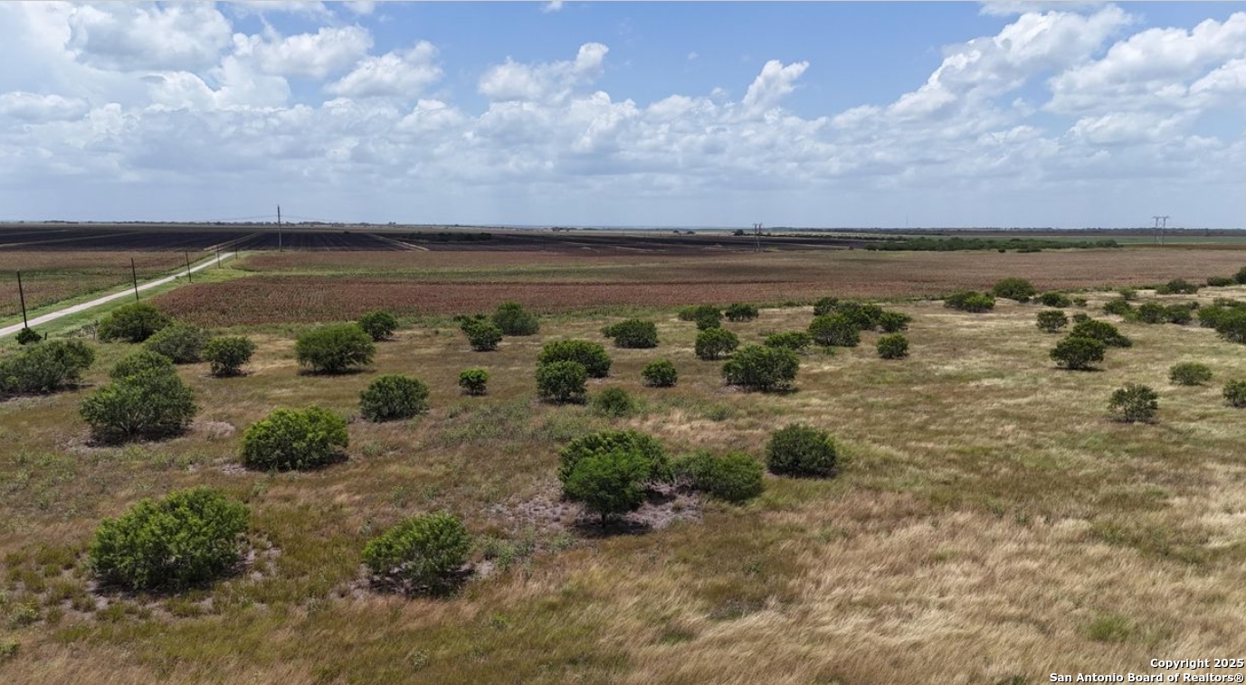 Bee County | 22+/- Acres