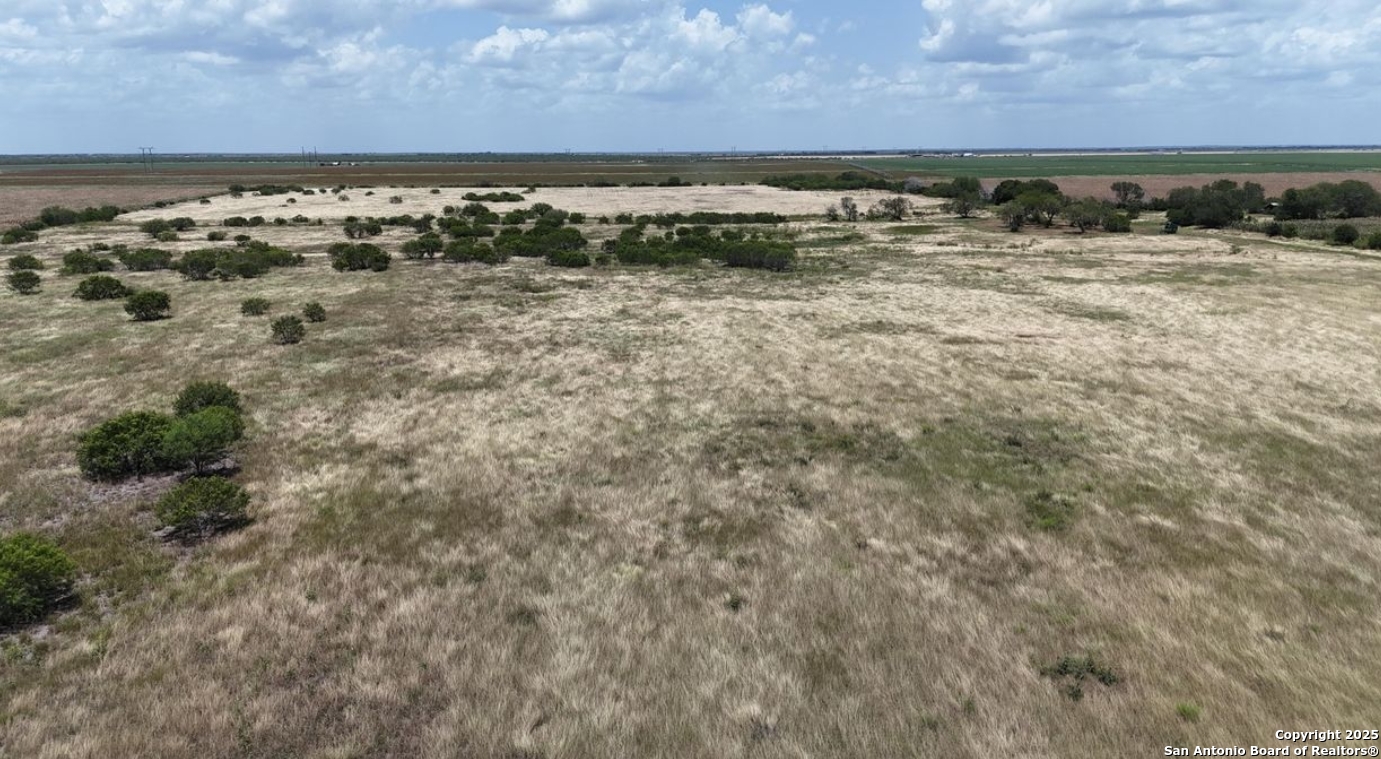 Bee County | 22+/- Acres