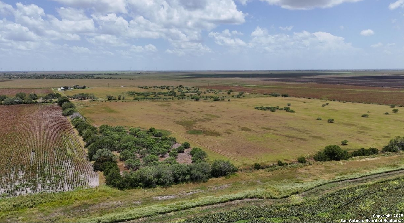 Bee County | 22+/- Acres