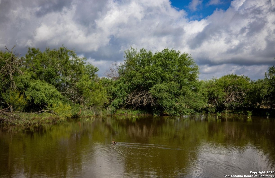 Bexar County | 170+/- Acres