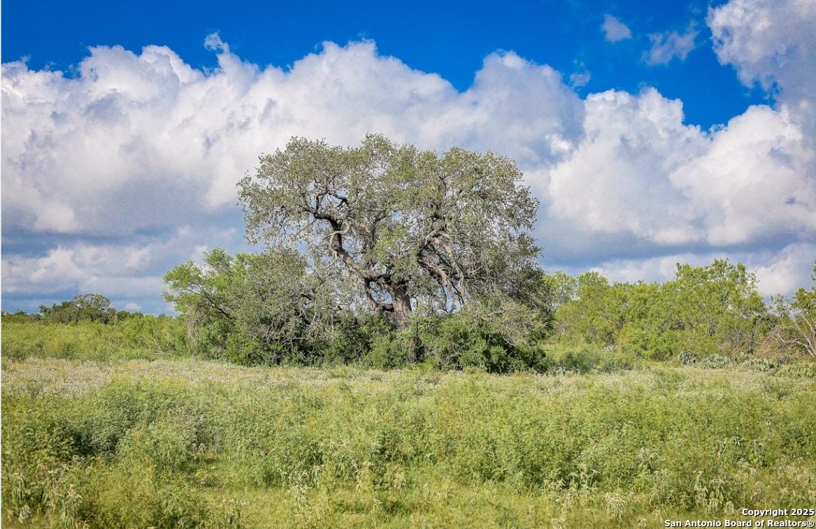 Bexar County | 170+/- Acres