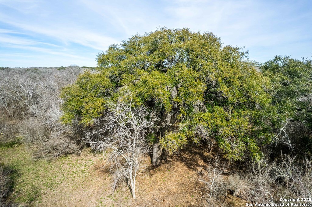 Bee County | 12.19+/- Acres