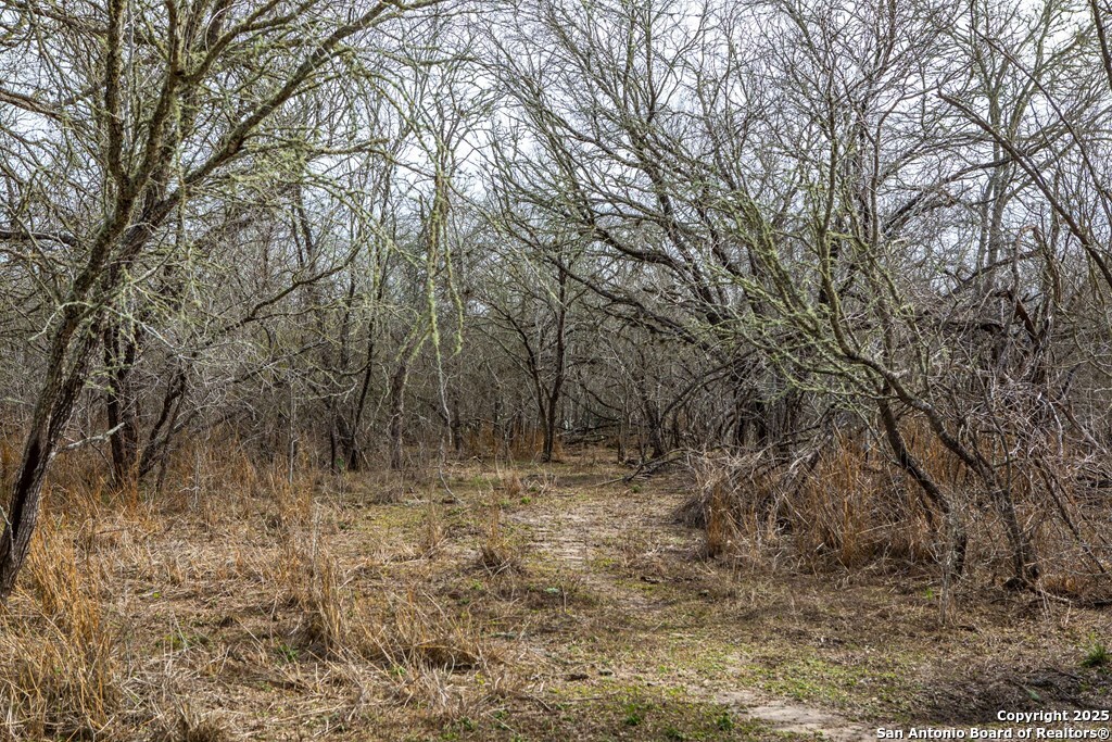 Bee County | 12.19+/- Acres