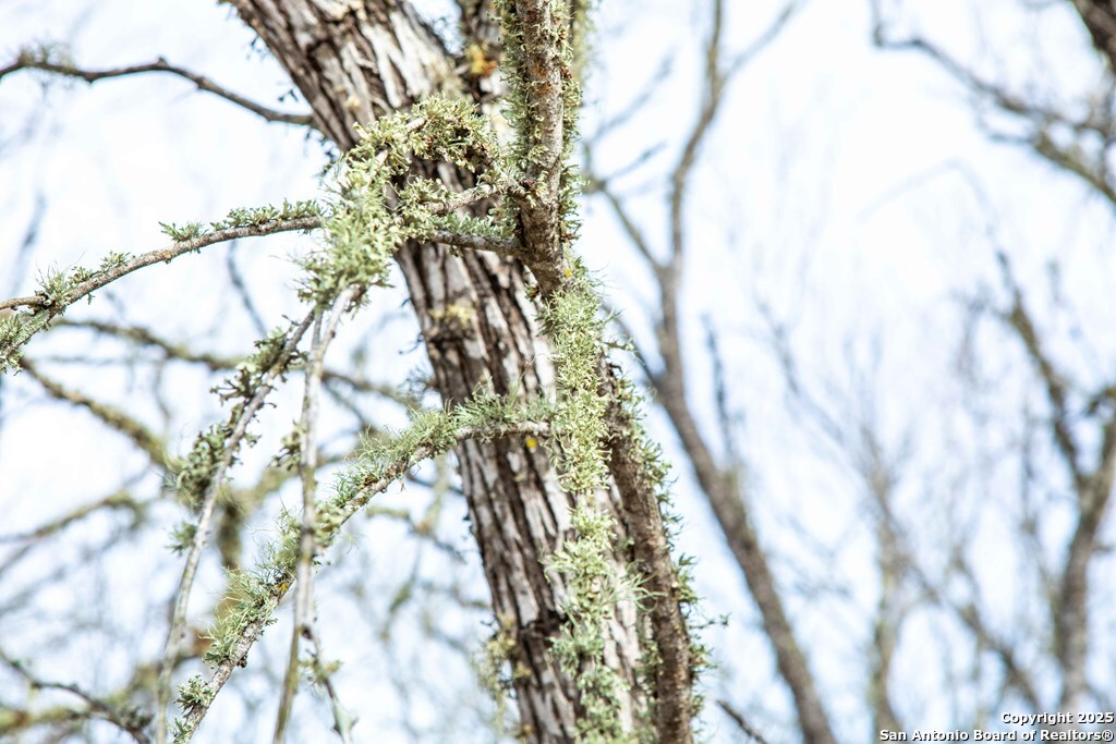 Bee County | 12.19+/- Acres